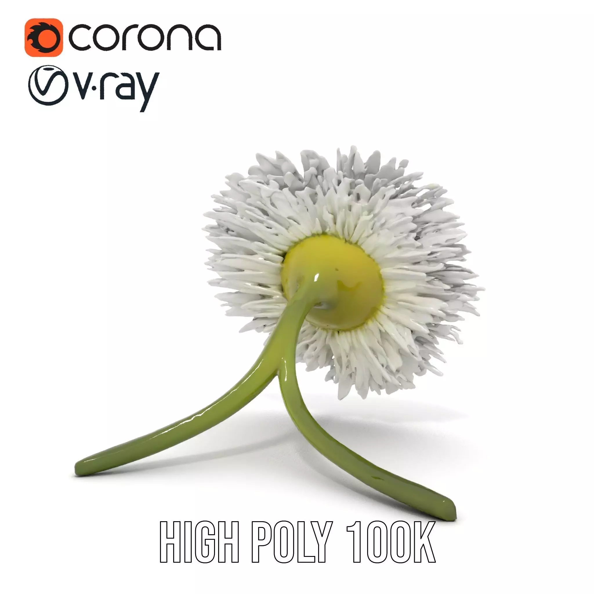 Elegant Daisy Flower model pack Low-poly 3D model_32