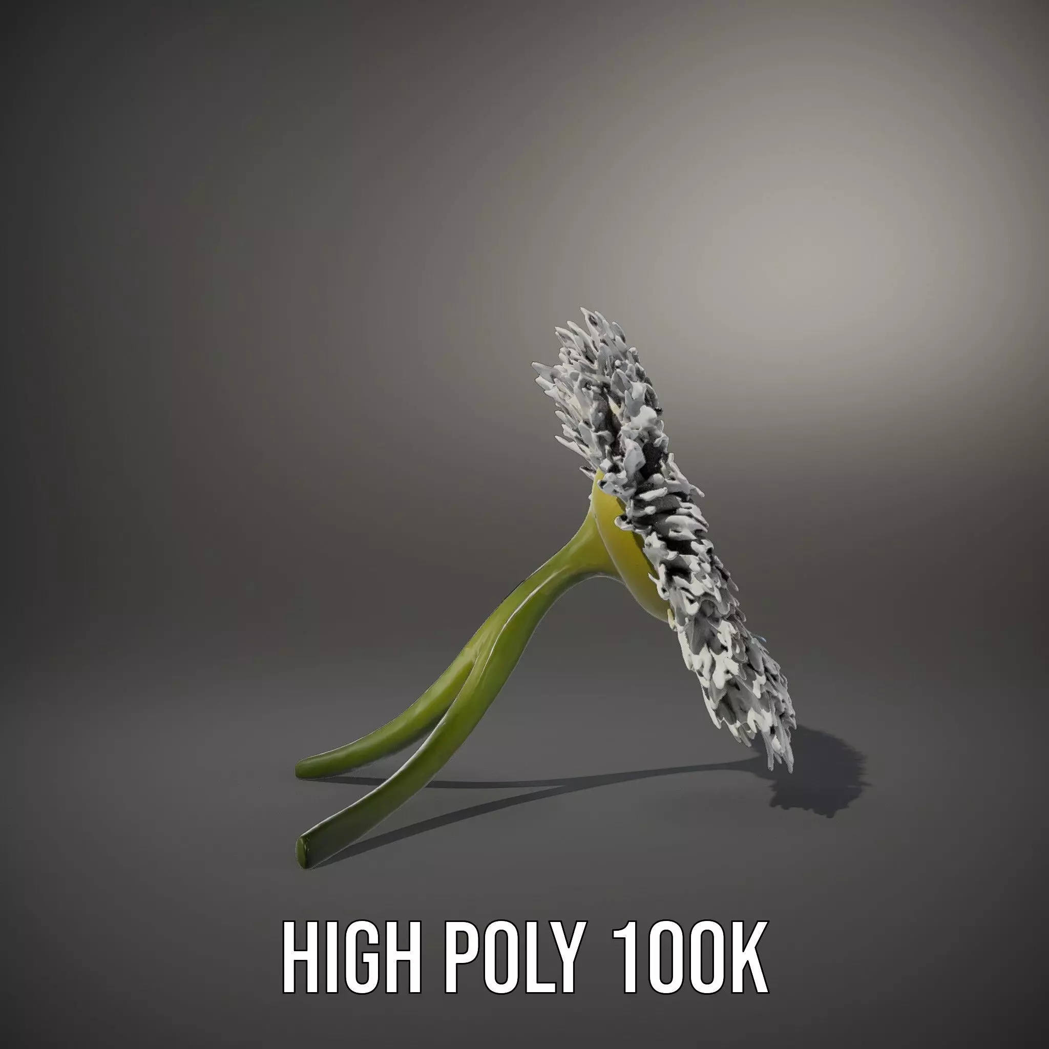 Elegant Daisy Flower model pack Low-poly 3D model_10
