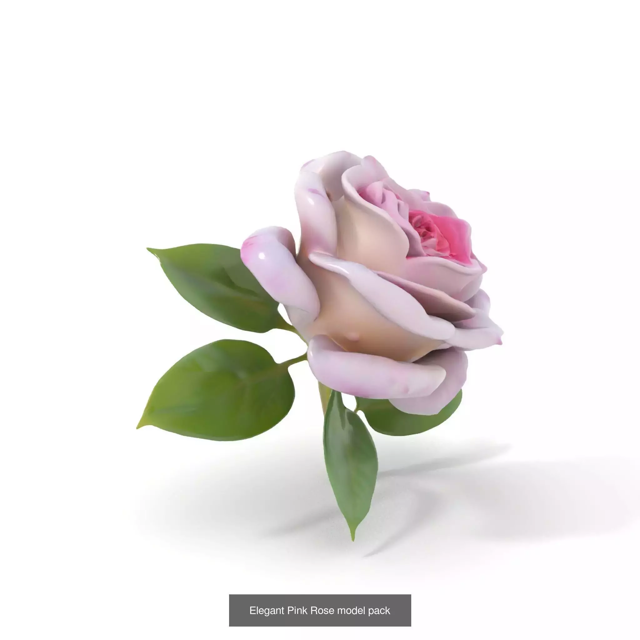 Blooming Elegance 3D Models Pack 3D Model Collection_65