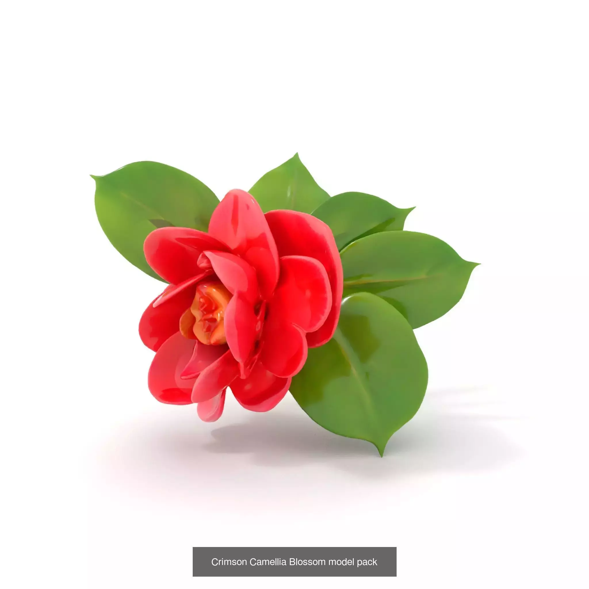 Blooming Elegance 3D Models Pack 3D Model Collection_61