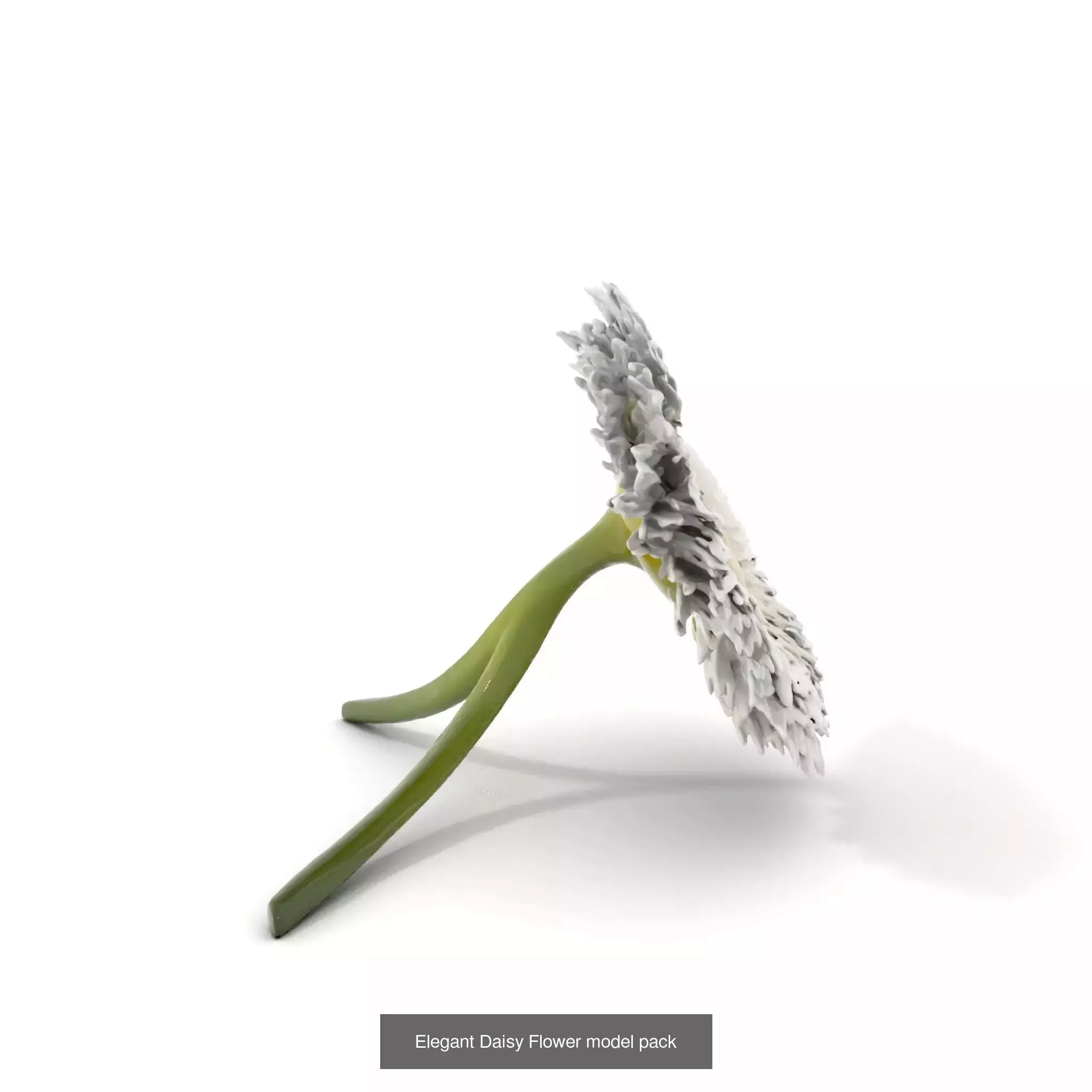 Blooming Elegance 3D Models Pack 3D Model Collection_73