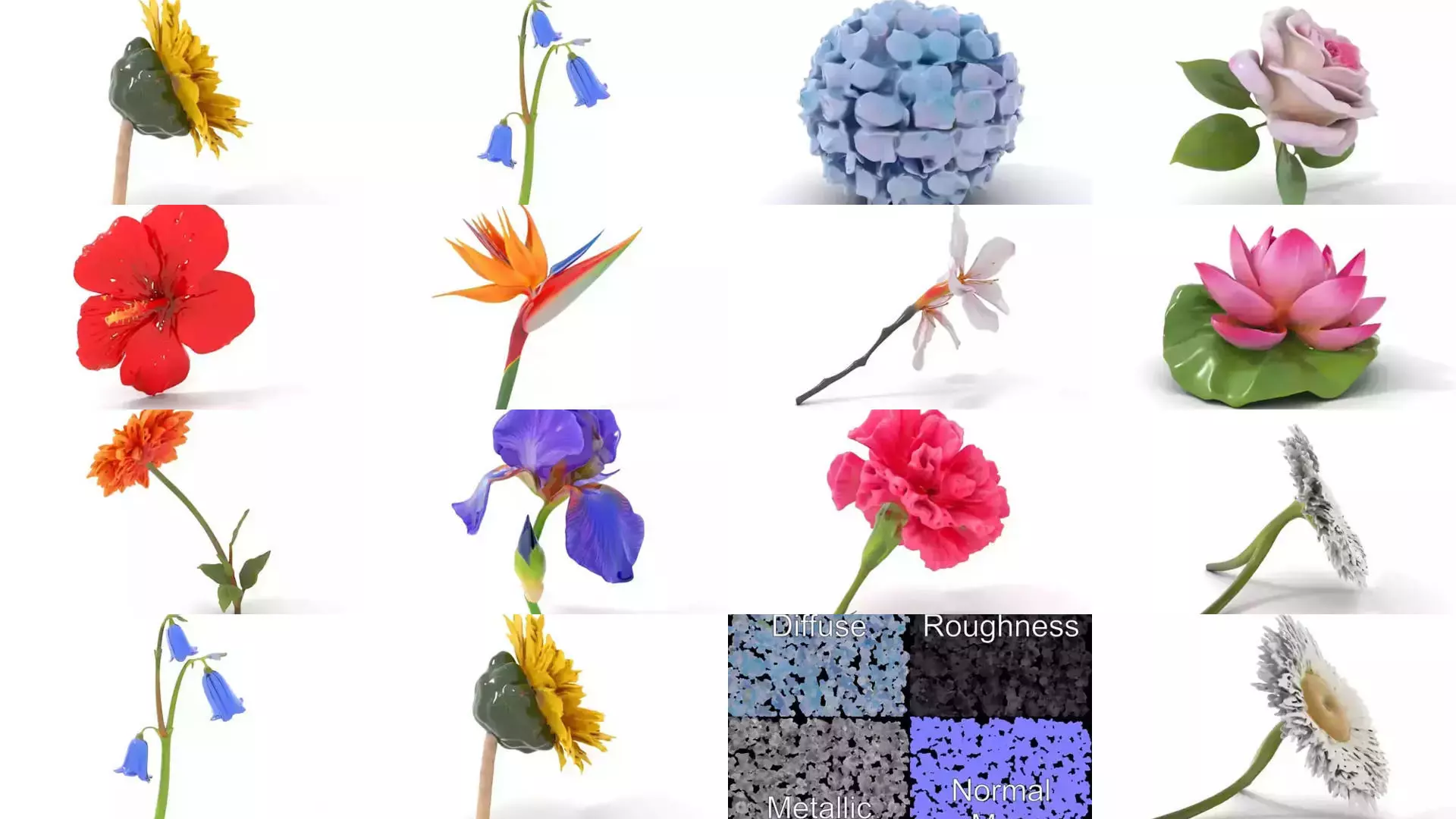 Blooming Elegance 3D Models Pack 3D Model Collection_44