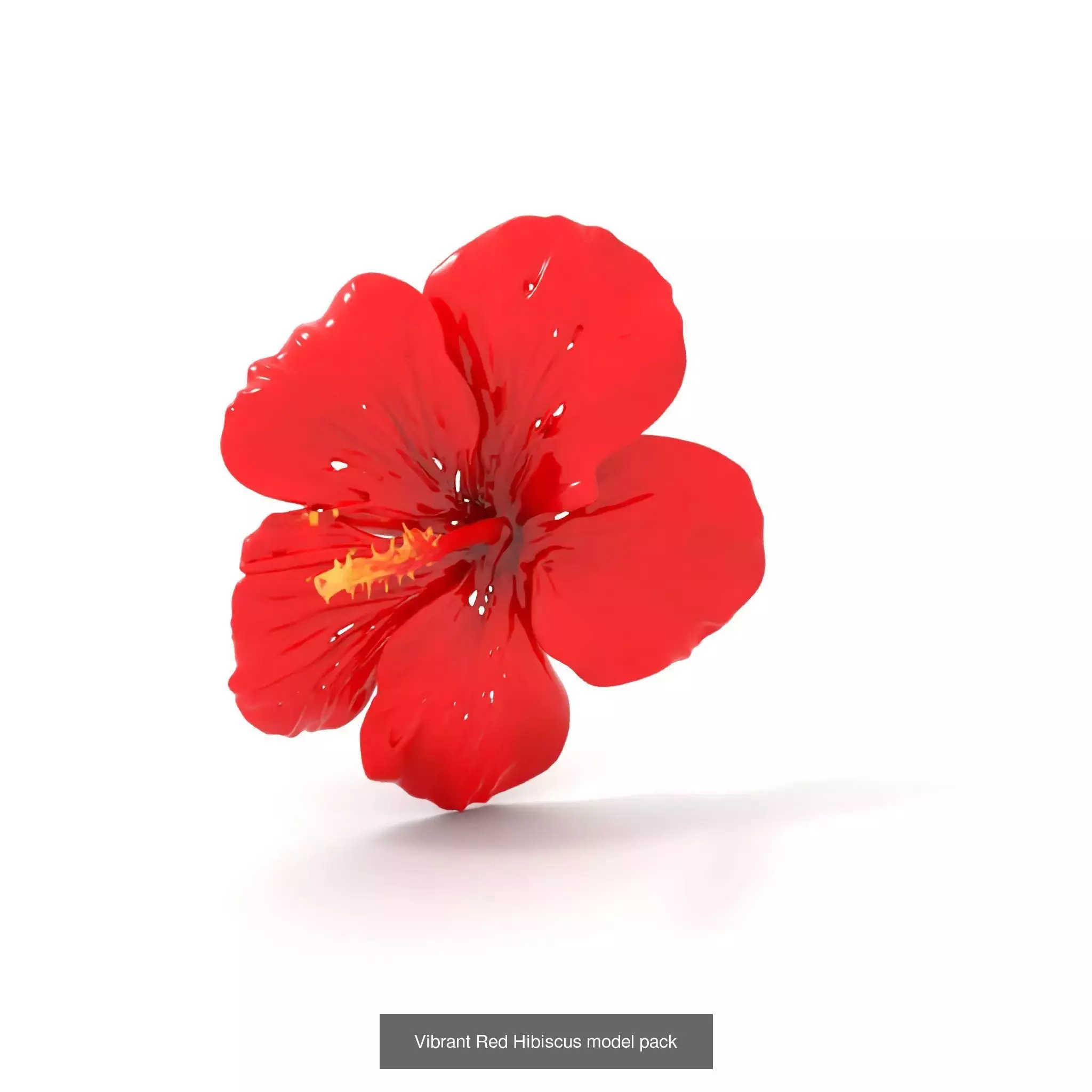 Blooming Elegance 3D Models Pack 3D Model Collection_66