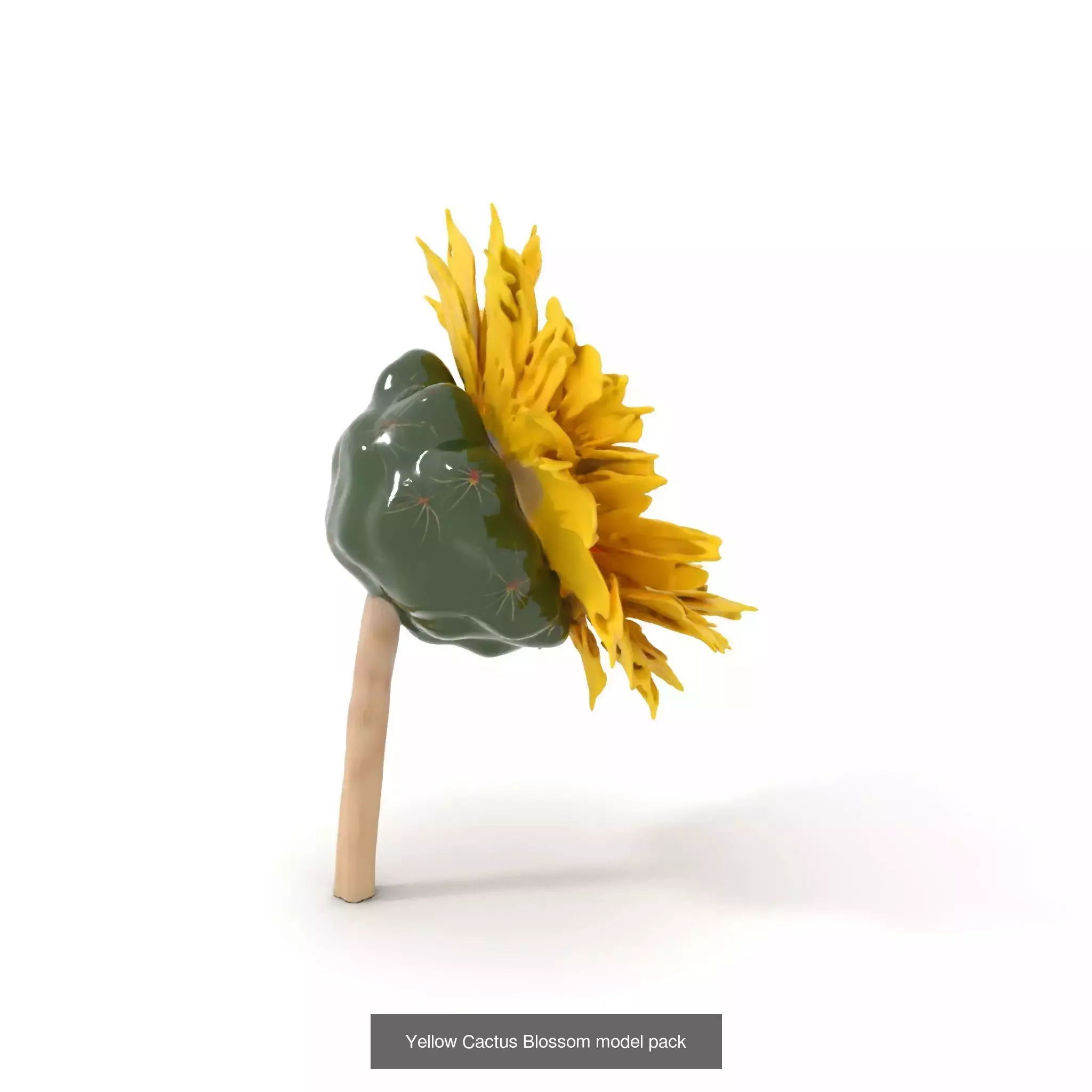 Blooming Elegance 3D Models Pack 3D Model Collection_62