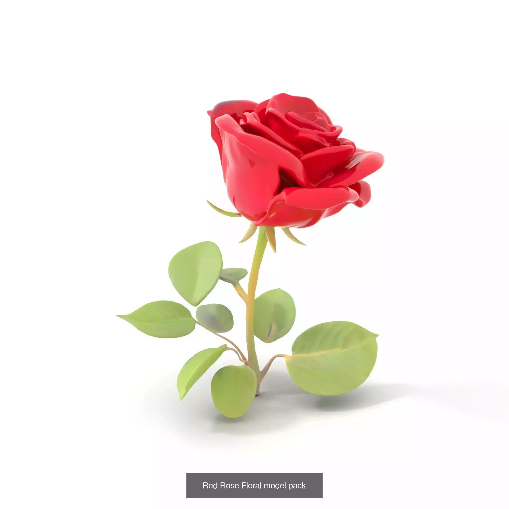 Blooming Elegance 3D Models Pack 3D Model Collection_46