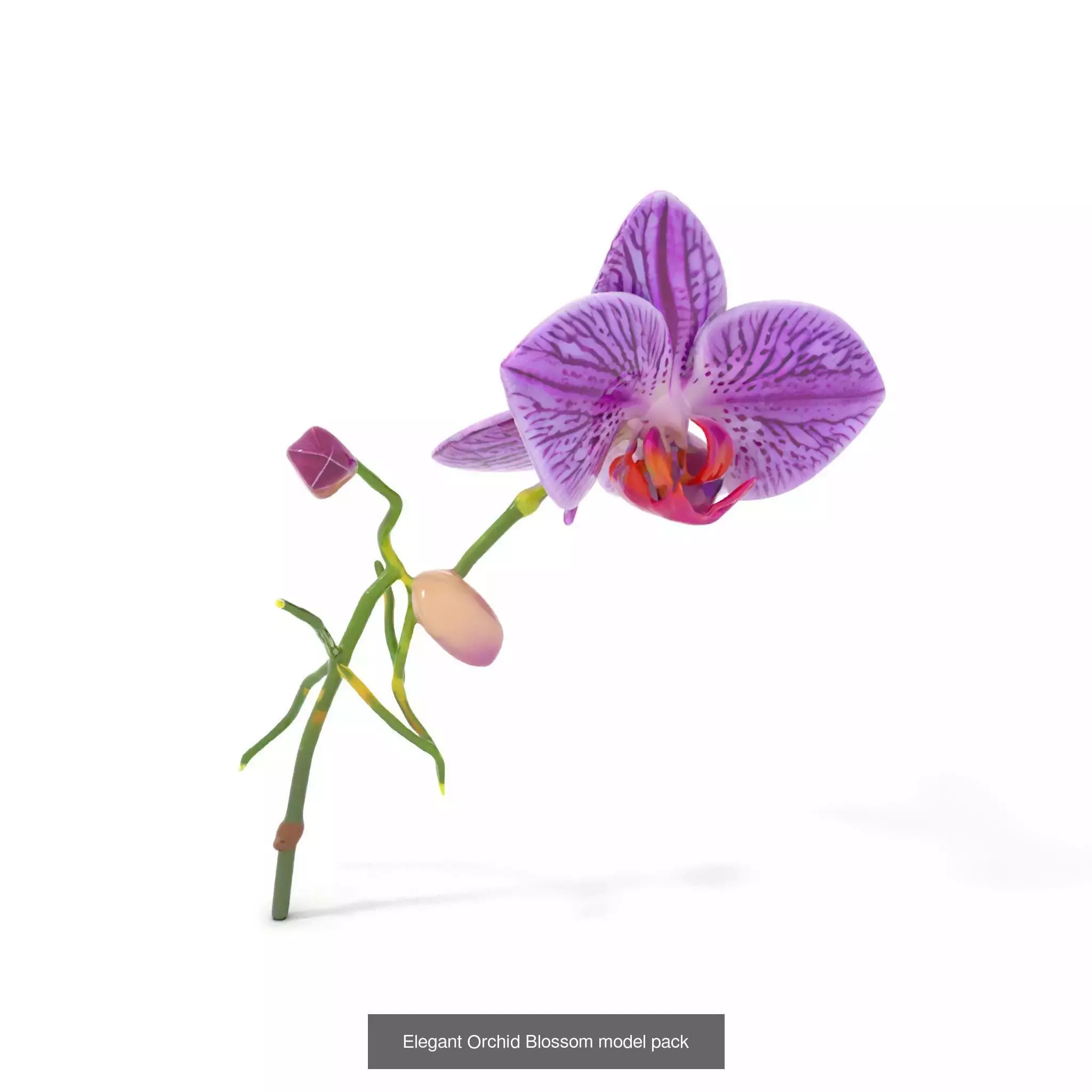 Blooming Elegance 3D Models Pack 3D Model Collection_49