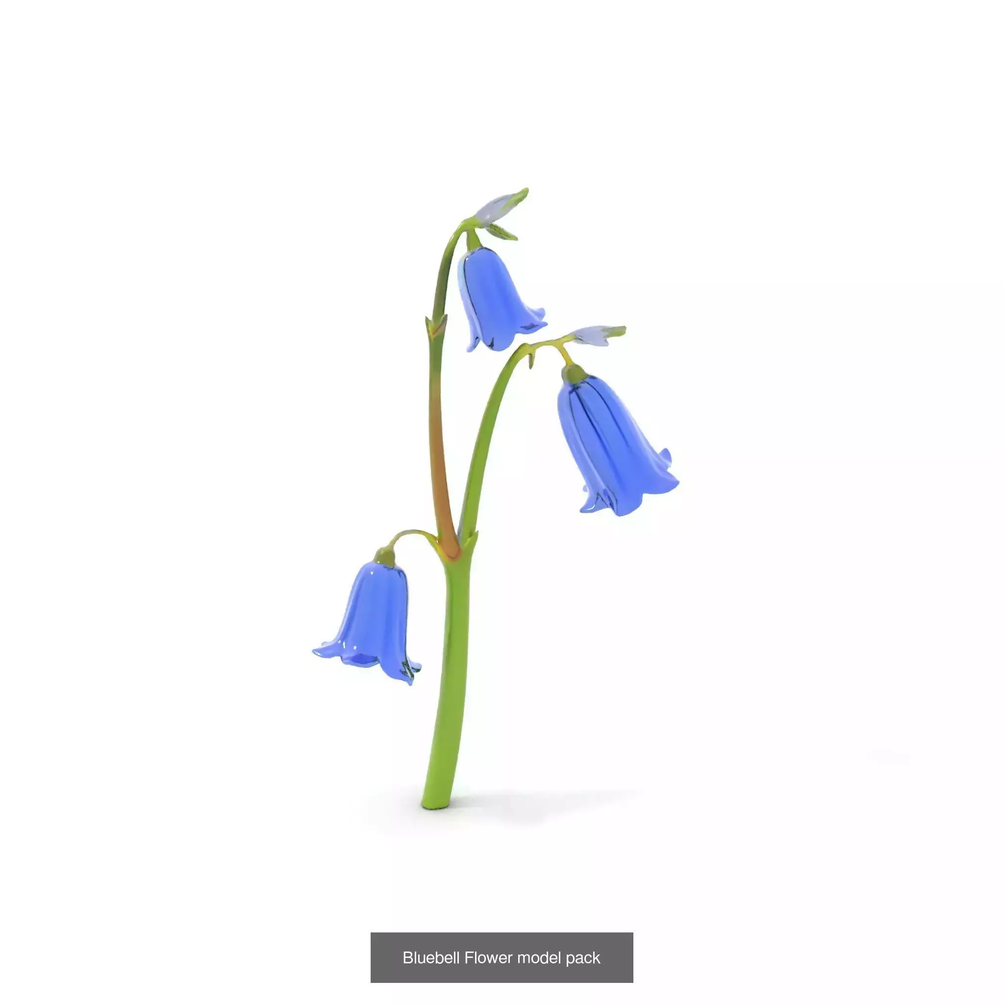 Blooming Elegance 3D Models Pack 3D Model Collection_63