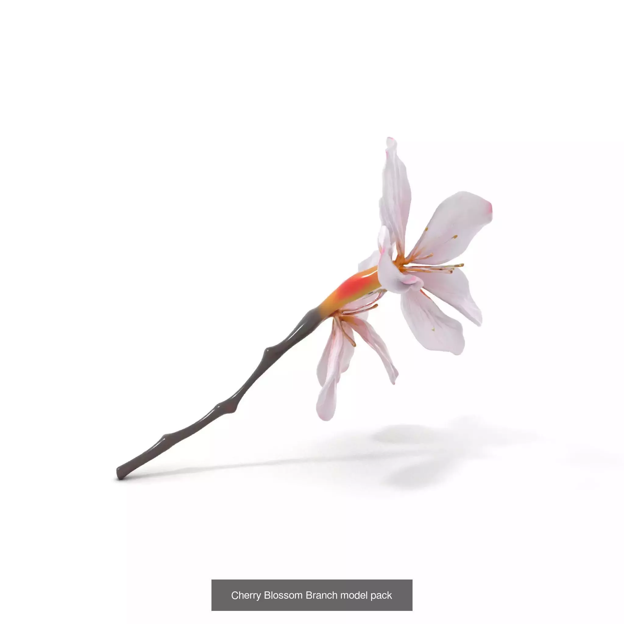 Blooming Elegance 3D Models Pack 3D Model Collection_68