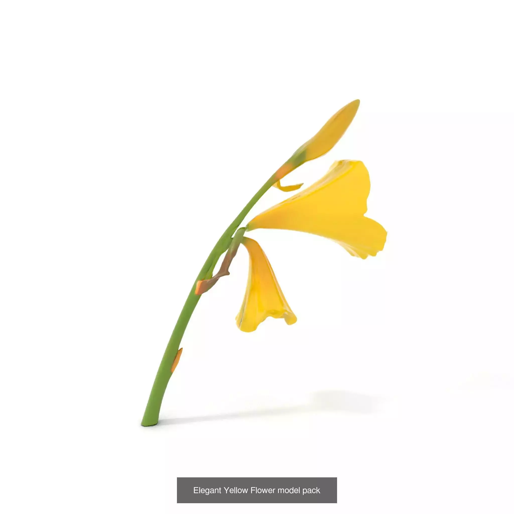 Blooming Elegance 3D Models Pack 3D Model Collection_56