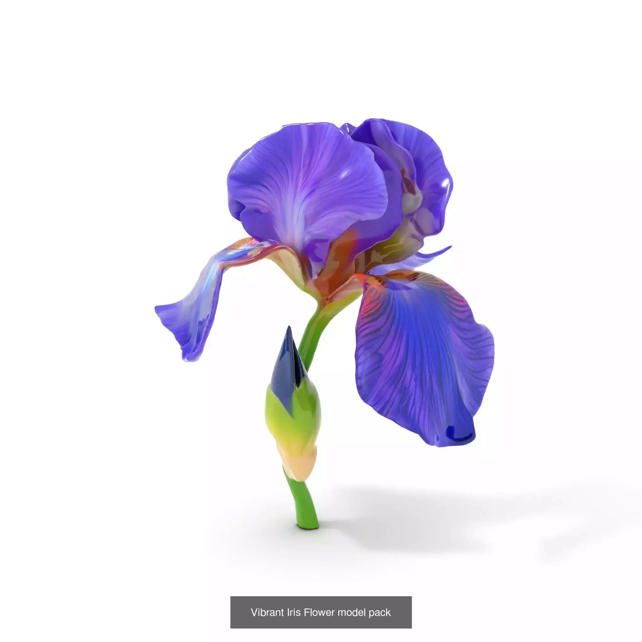 Blooming Elegance 3D Models Pack 3D Model Collection_71