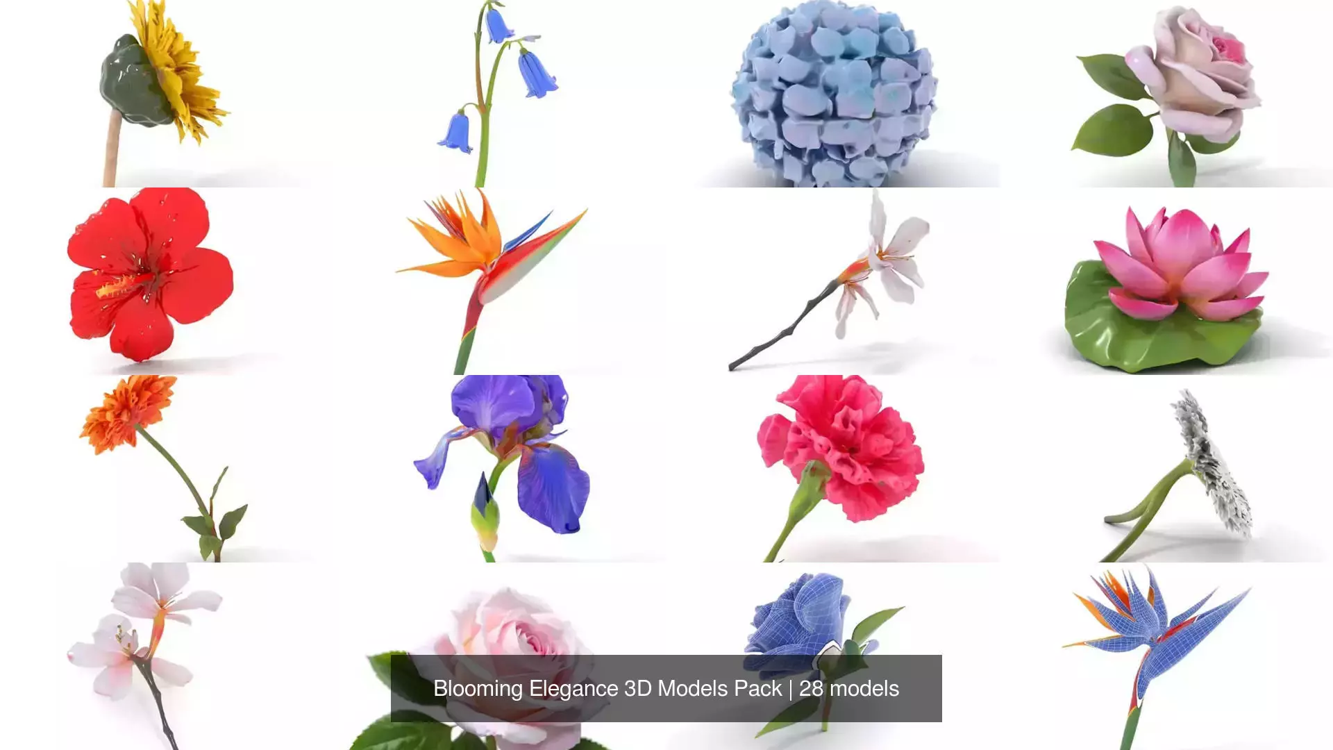 Blooming Elegance 3D Models Pack 3D Model Collection_45