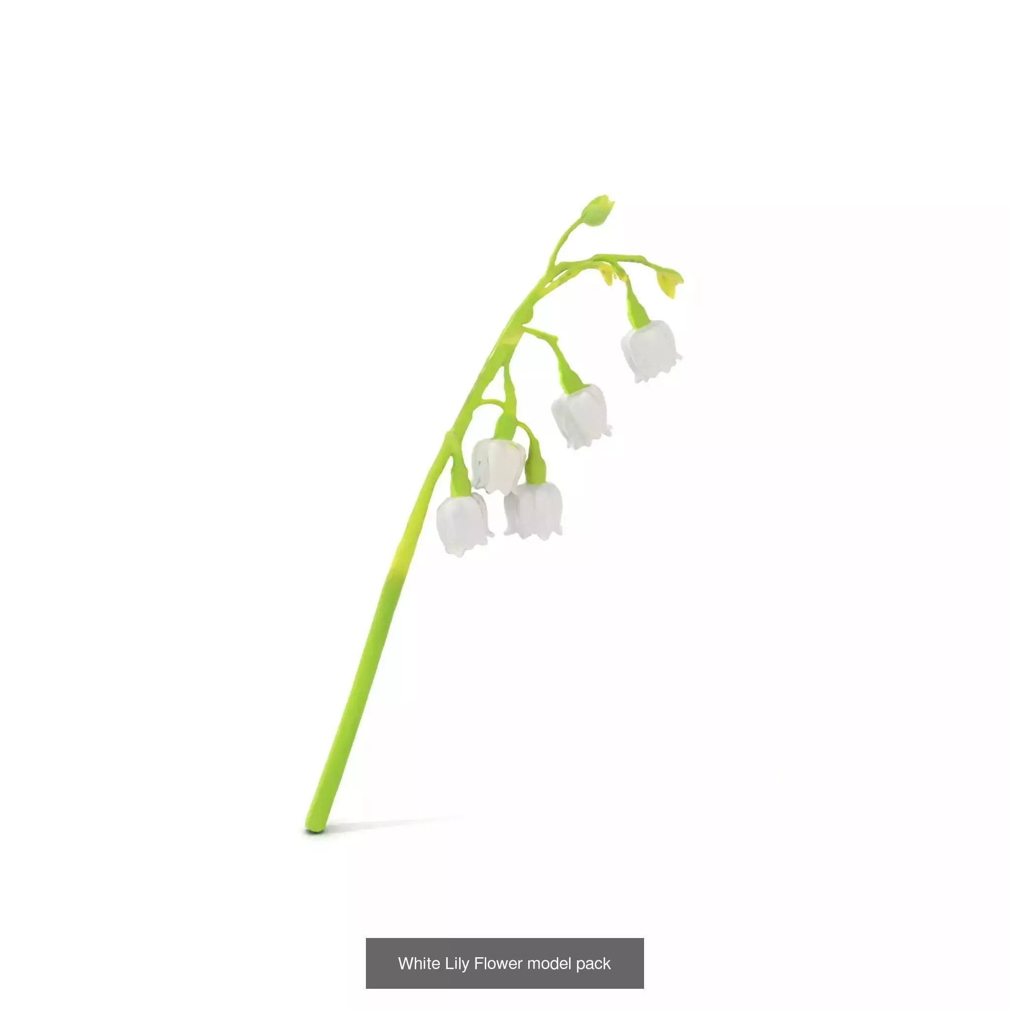 Blooming Elegance 3D Models Pack 3D Model Collection_57