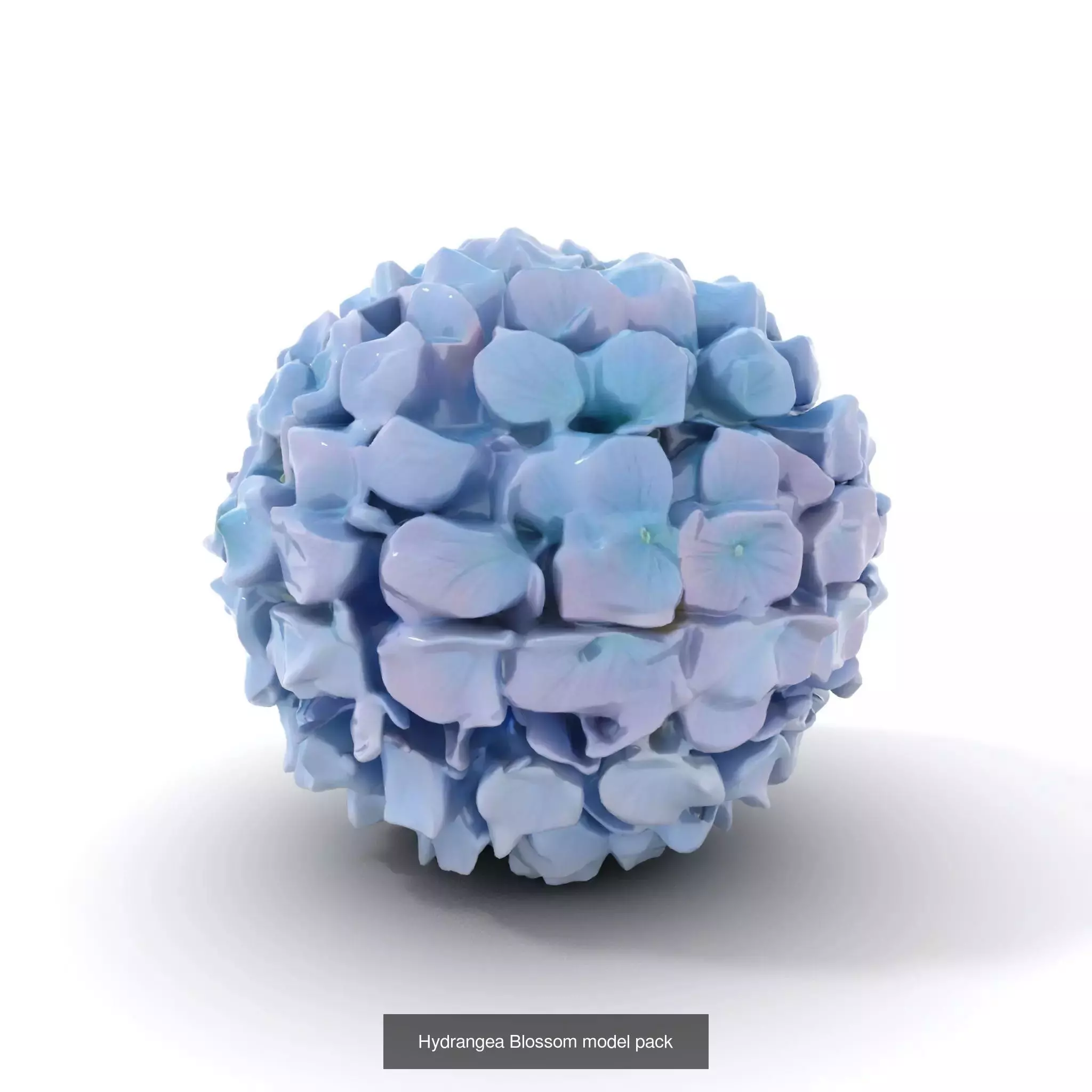 Blooming Elegance 3D Models Pack 3D Model Collection_64