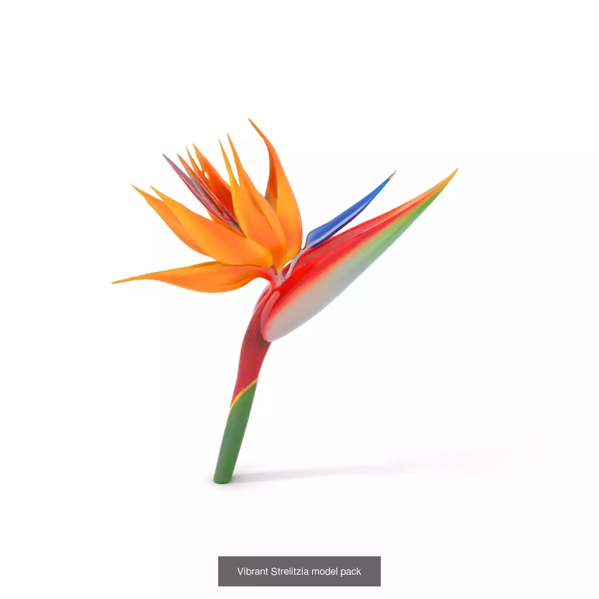 Blooming Elegance 3D Models Pack 3D Model Collection_67