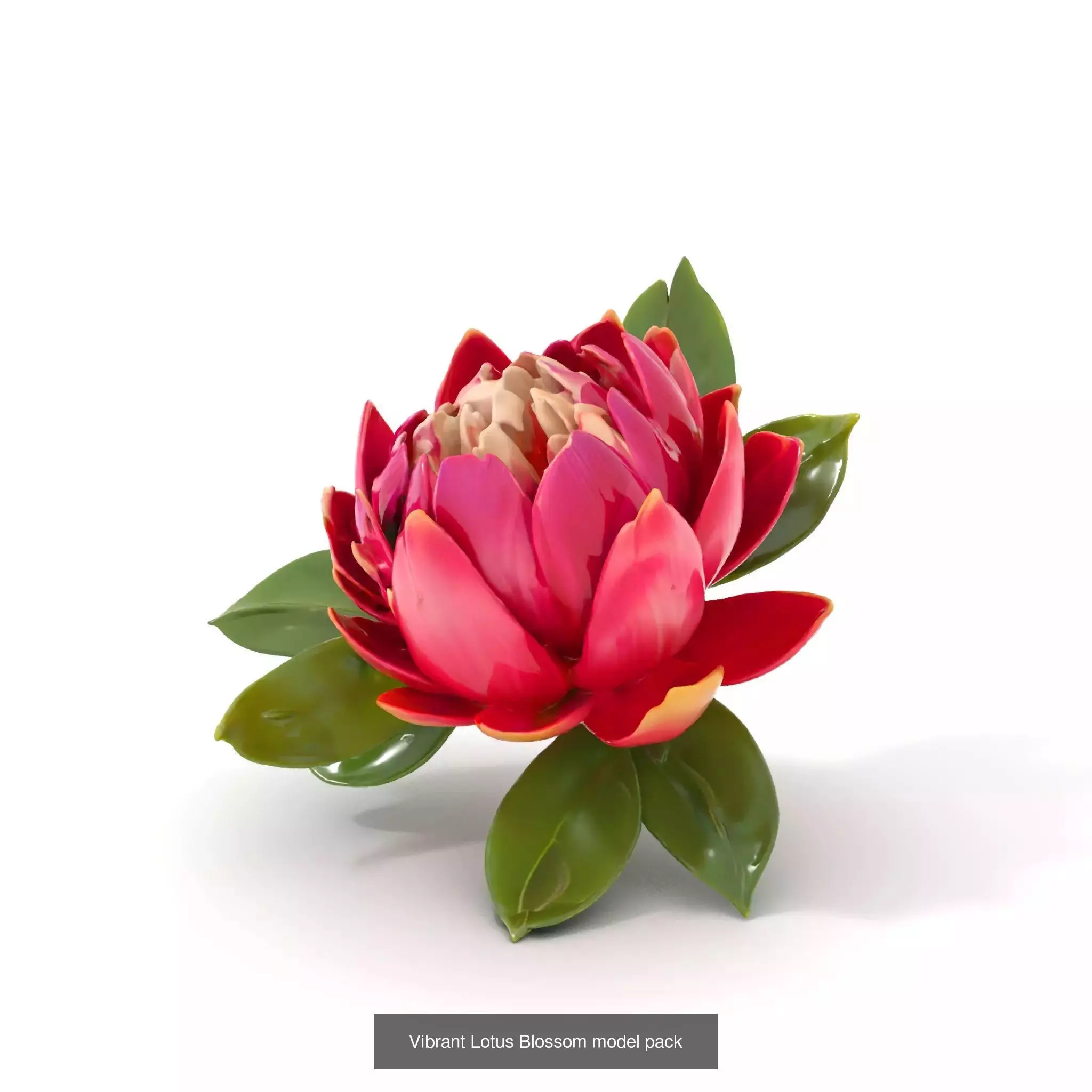 Blooming Elegance 3D Models Pack 3D Model Collection_59