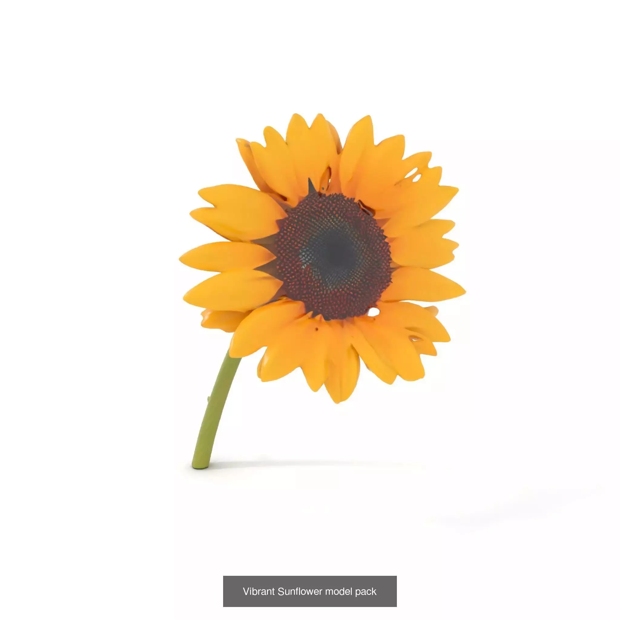 Blooming Elegance 3D Models Pack 3D Model Collection_50