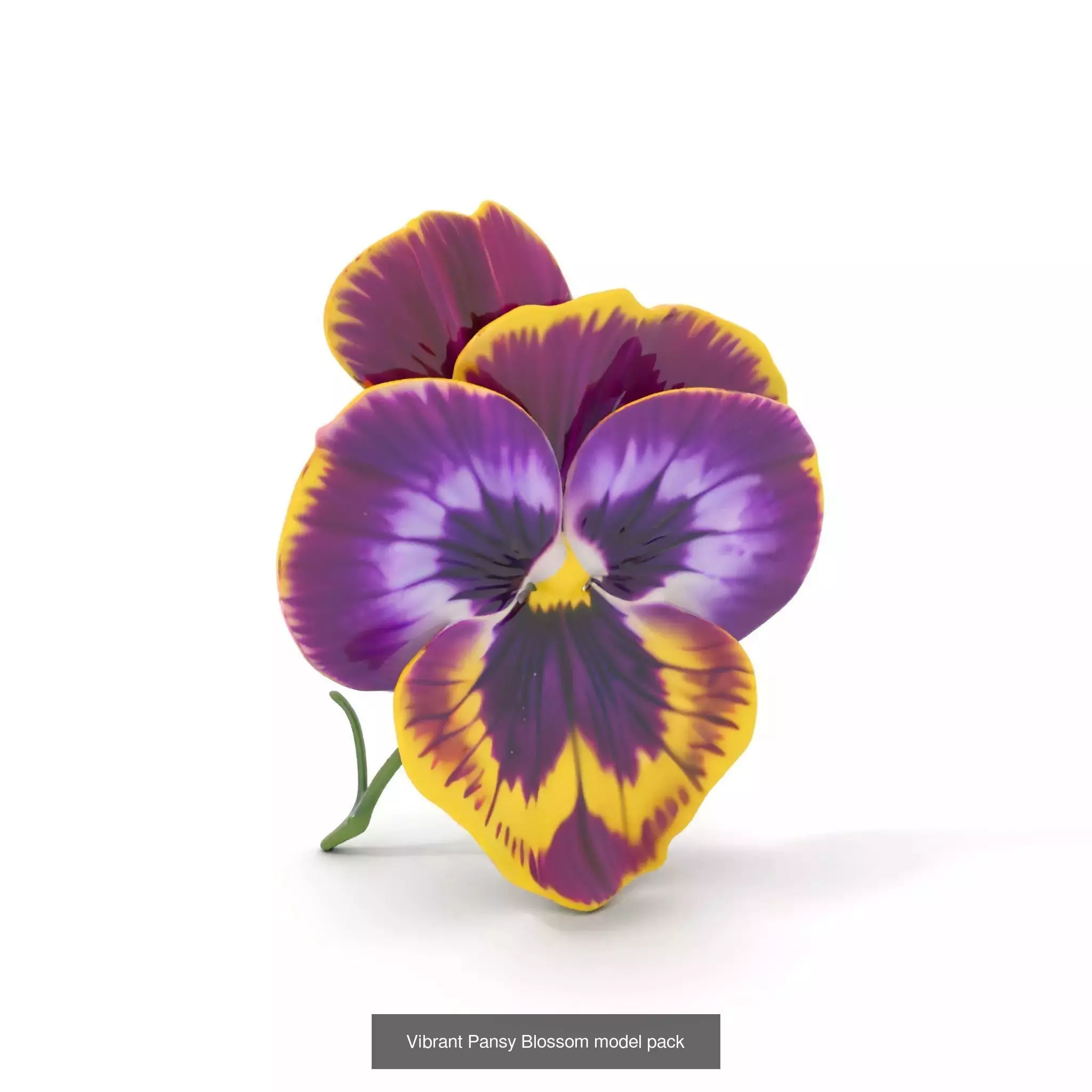Blooming Elegance 3D Models Pack 3D Model Collection_58