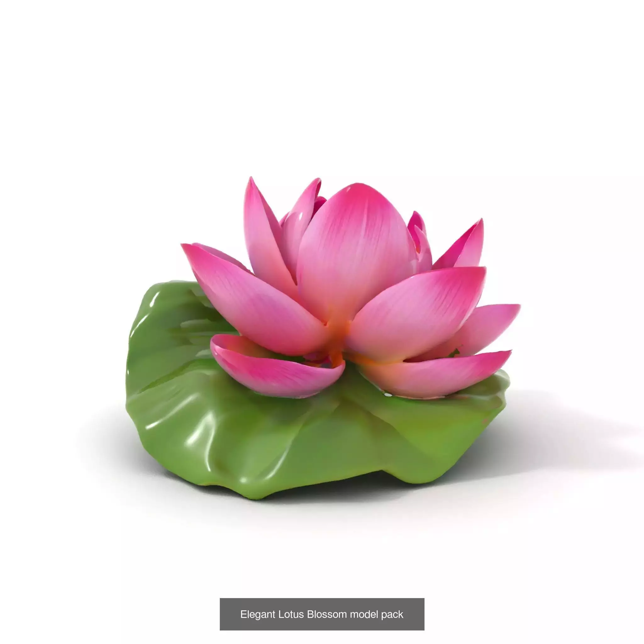 Blooming Elegance 3D Models Pack 3D Model Collection_69