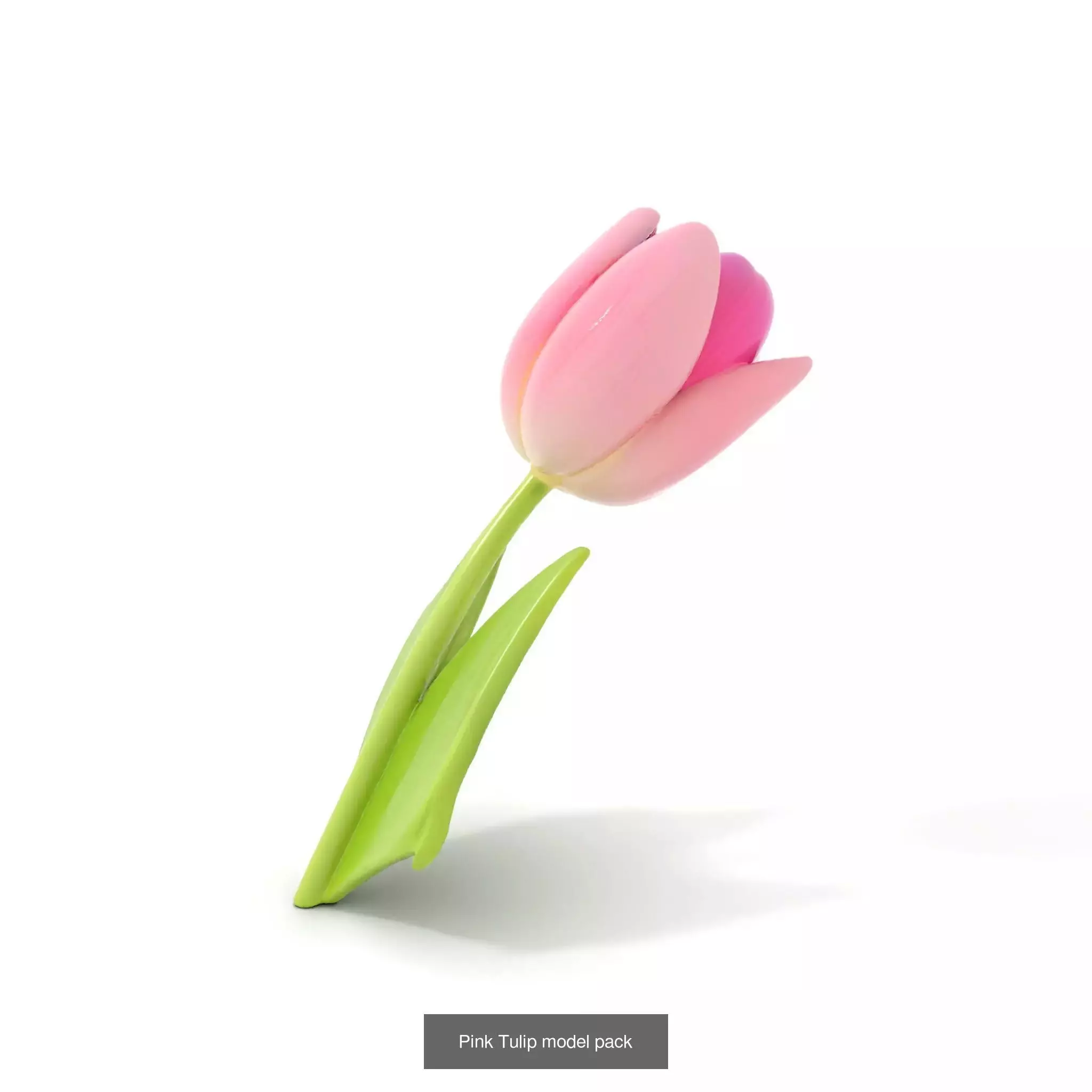 Blooming Elegance 3D Models Pack 3D Model Collection_48