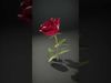 Blooming Elegance 3D Models Pack 3D Model Collection_2