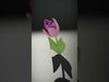 Blooming Elegance 3D Models Pack 3D Model Collection_6