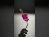 Blooming Elegance 3D Models Pack 3D Model Collection_18