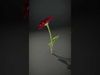 Blooming Elegance 3D Models Pack 3D Model Collection_30
