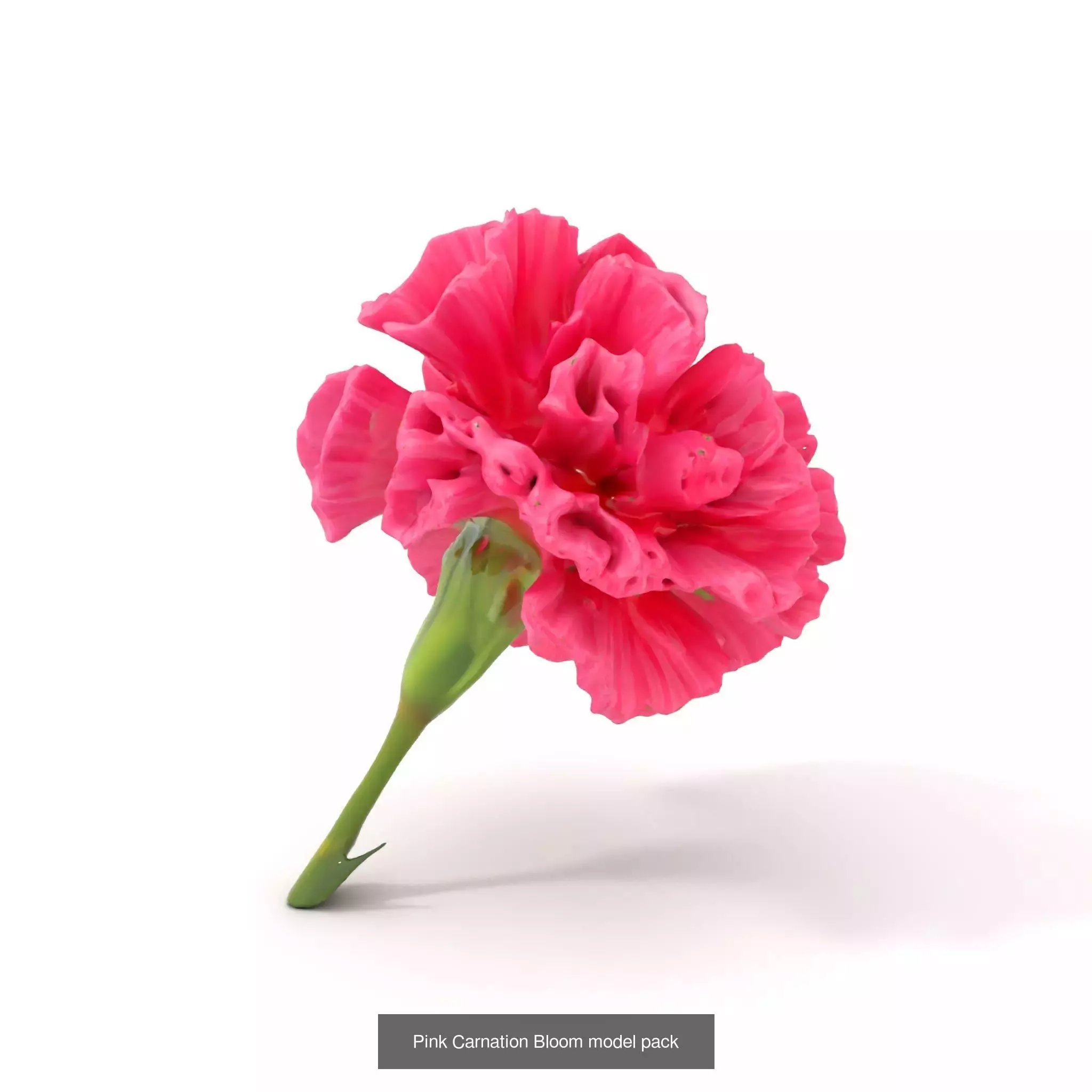 Blooming Elegance 3D Models Pack 3D Model Collection_72