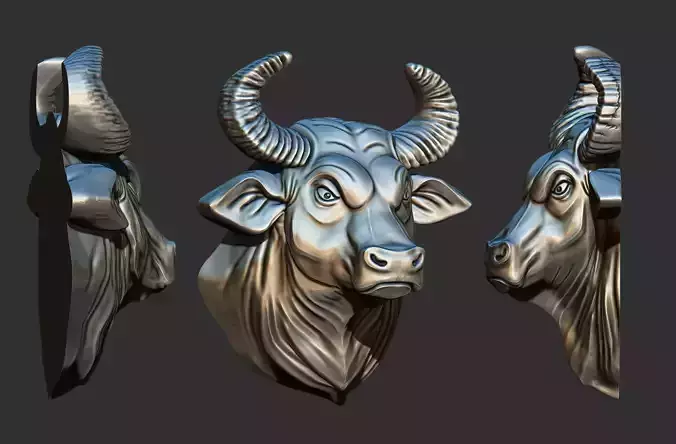 Bull Head Relief