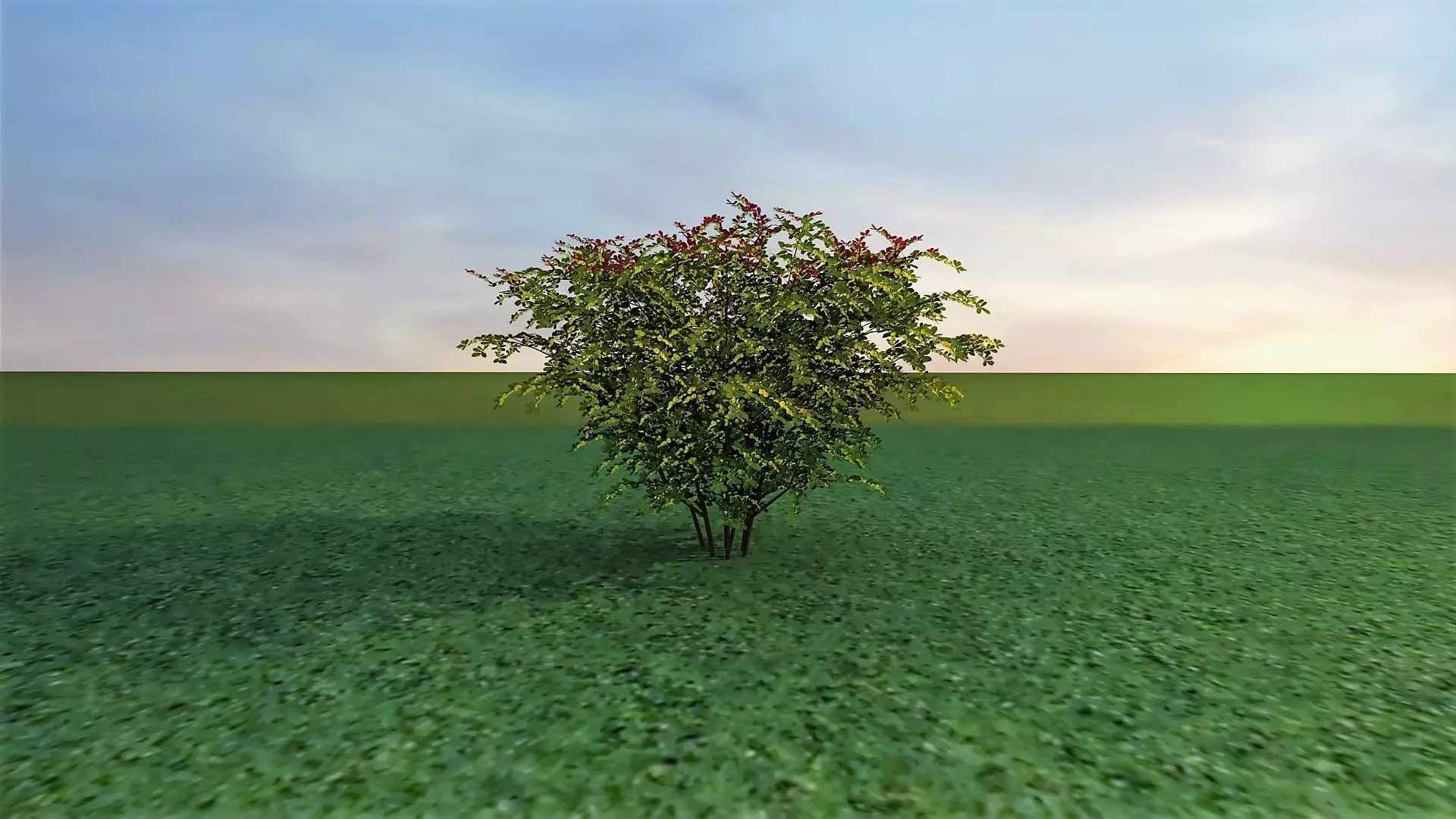 Park Set 3D model_47