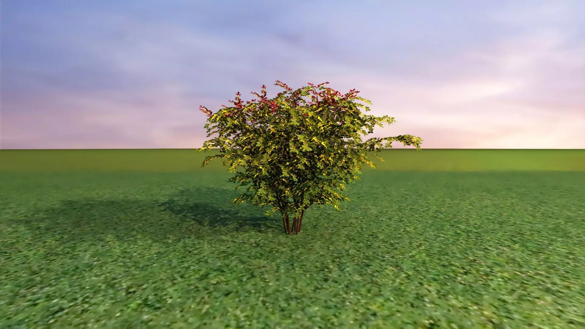 Park Set 3D model_36