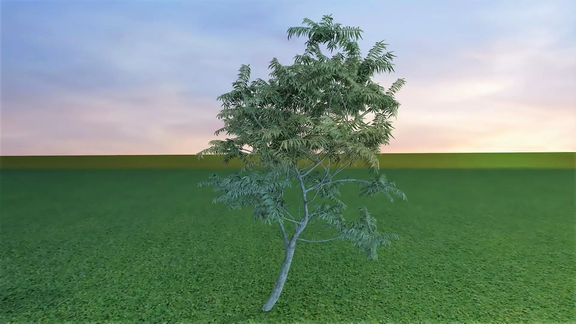 Park Set 3D model_46