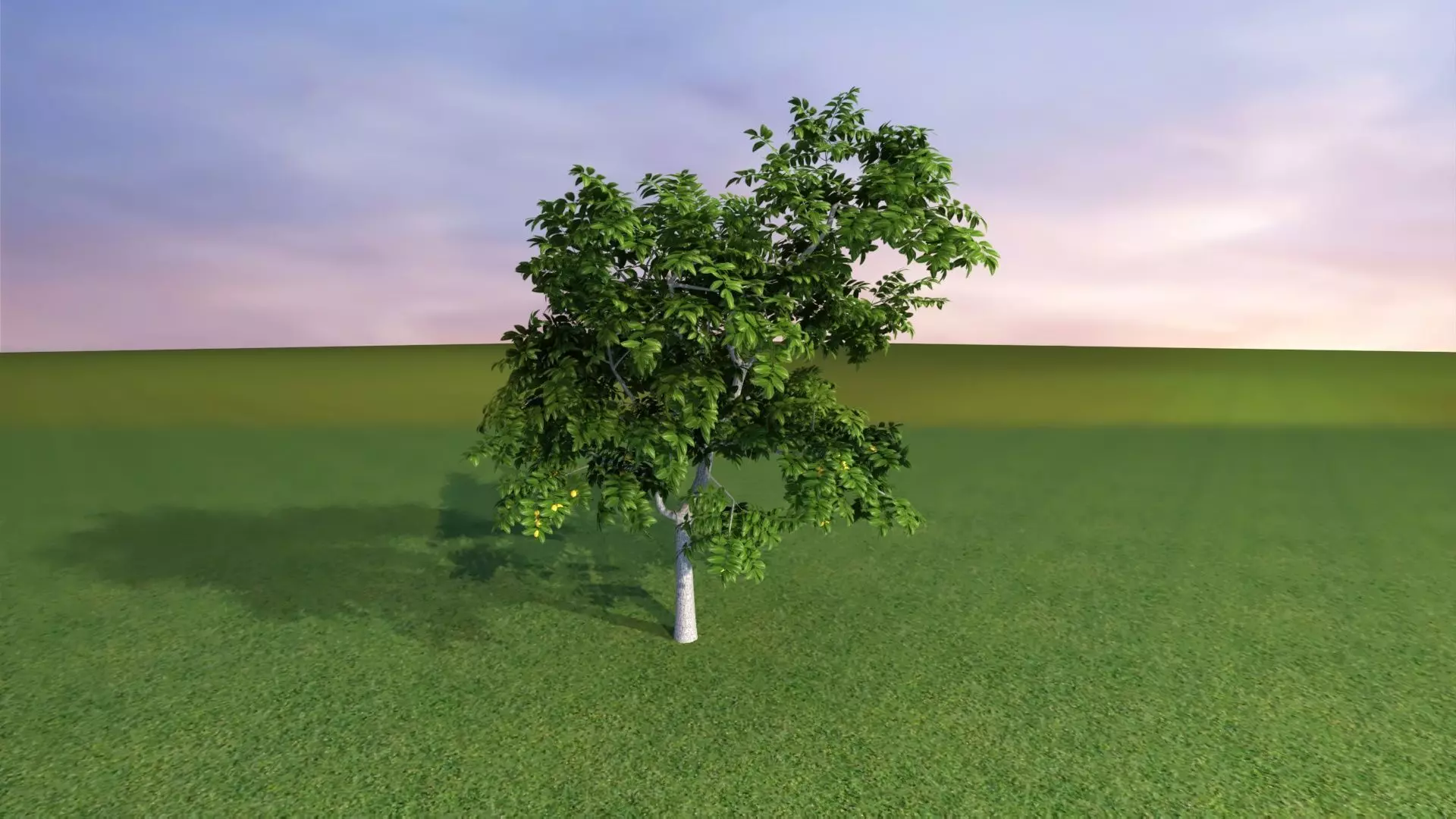 Park Set 3D model_23