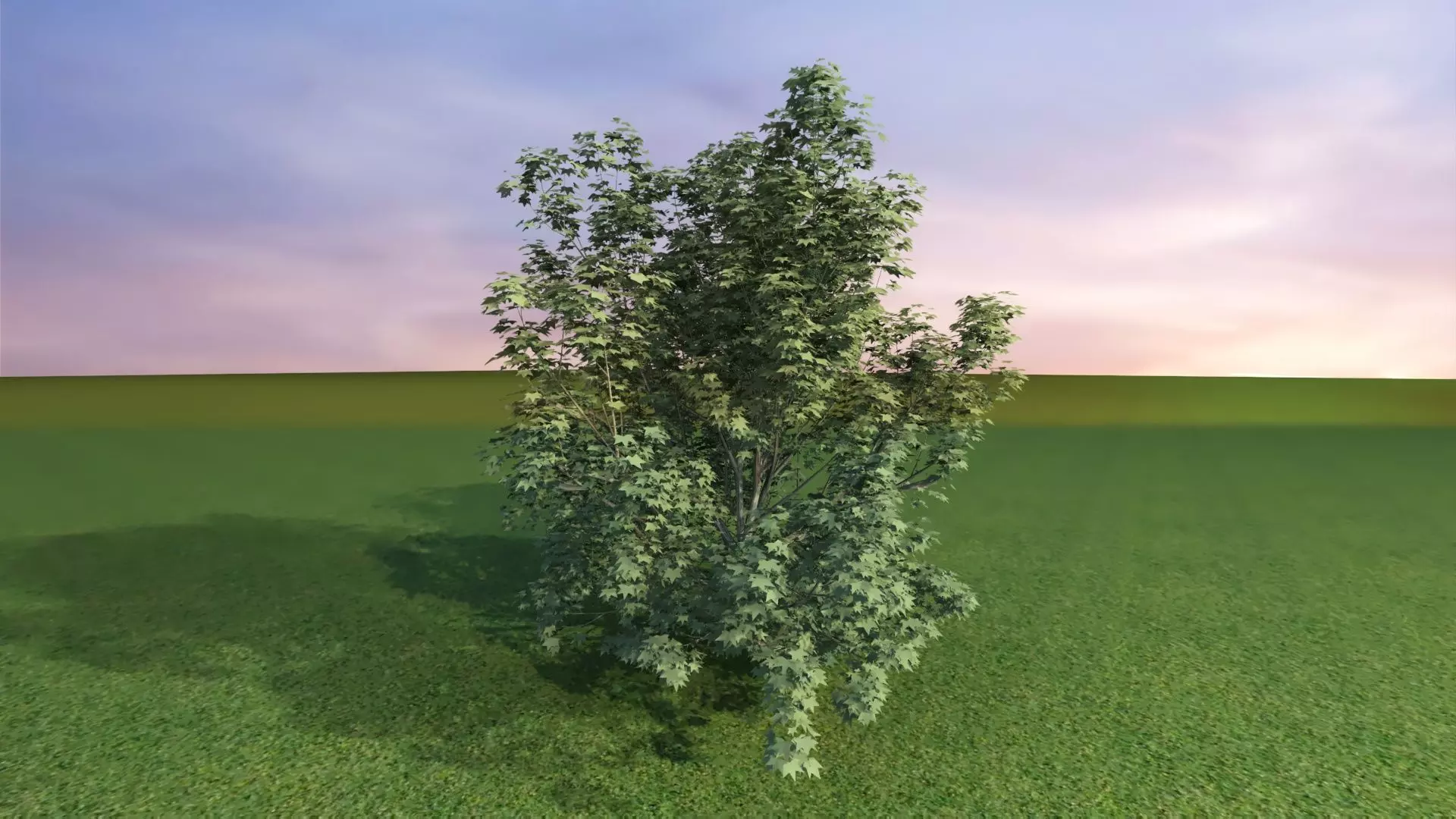 Park Set 3D model_37