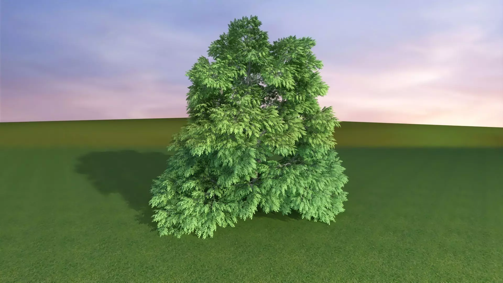 Park Set 3D model_51