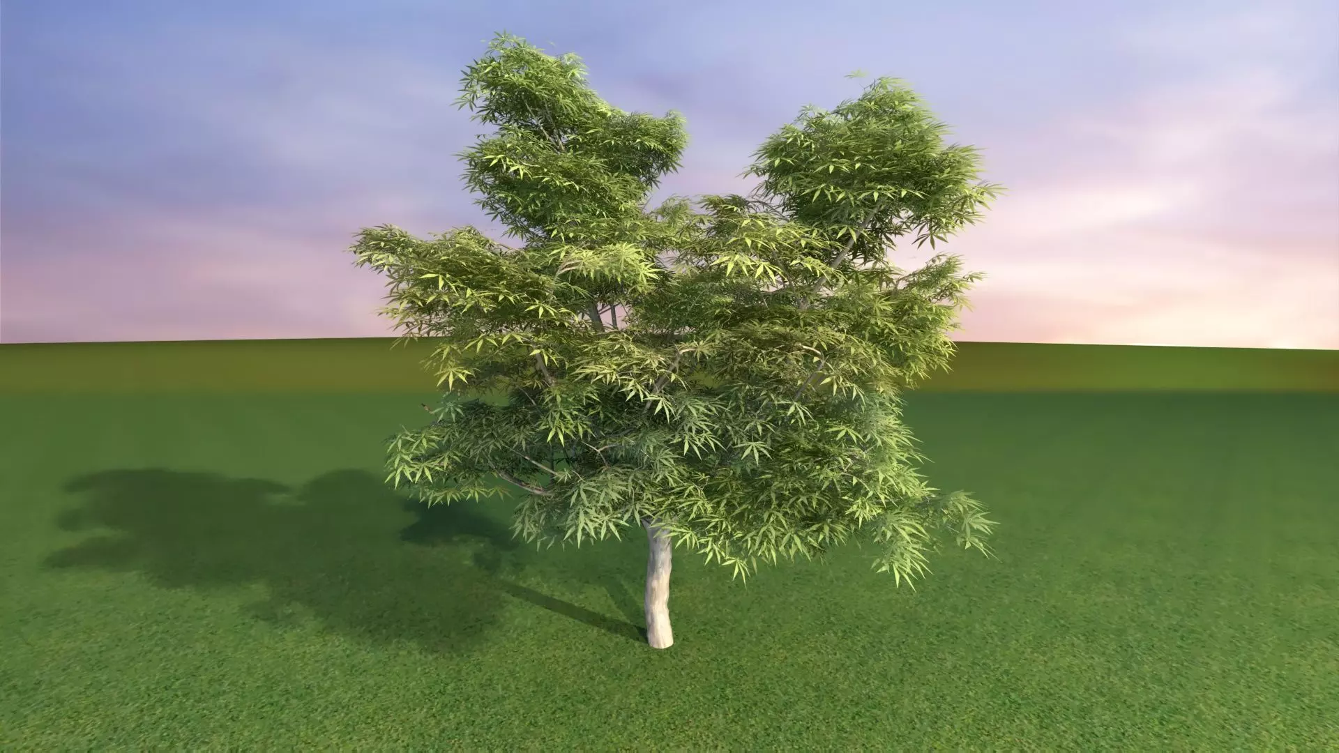 Park Set 3D model_49
