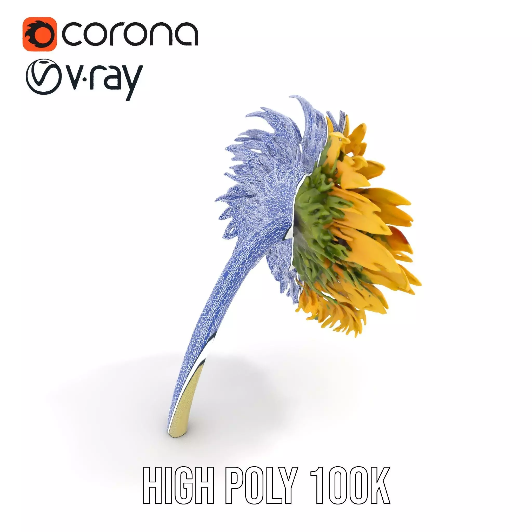 Sunflower Yellow Bloom model pack Low-poly 3D model_14