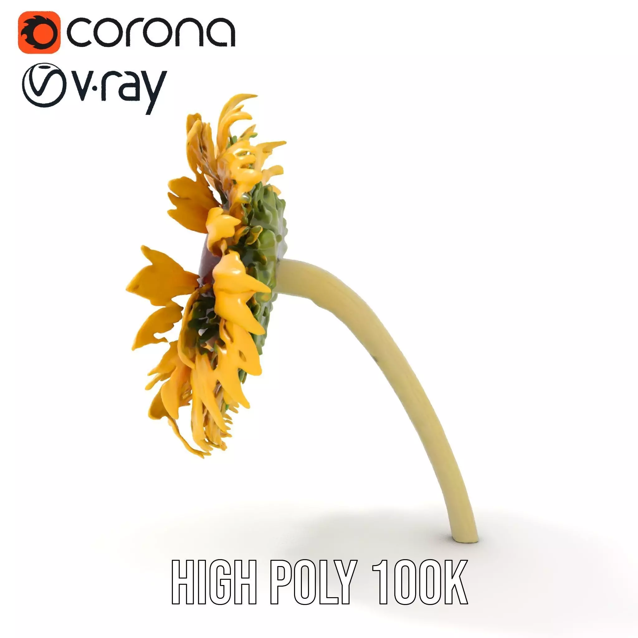 Sunflower Yellow Bloom model pack Low-poly 3D model_11