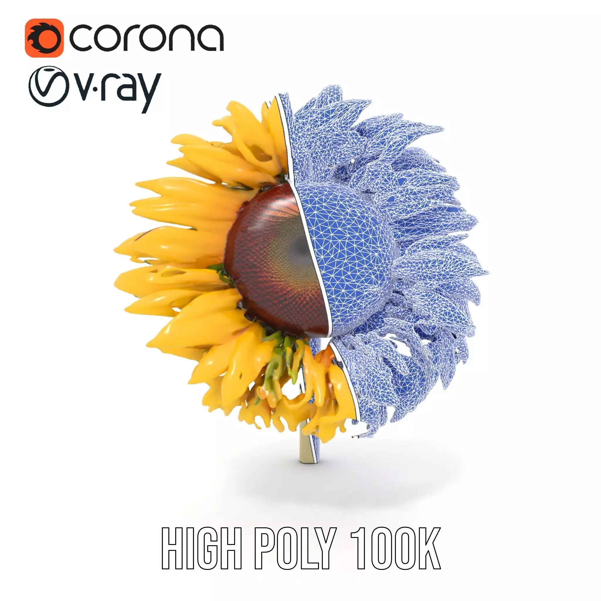 Sunflower Yellow Bloom model pack Low-poly 3D model_30