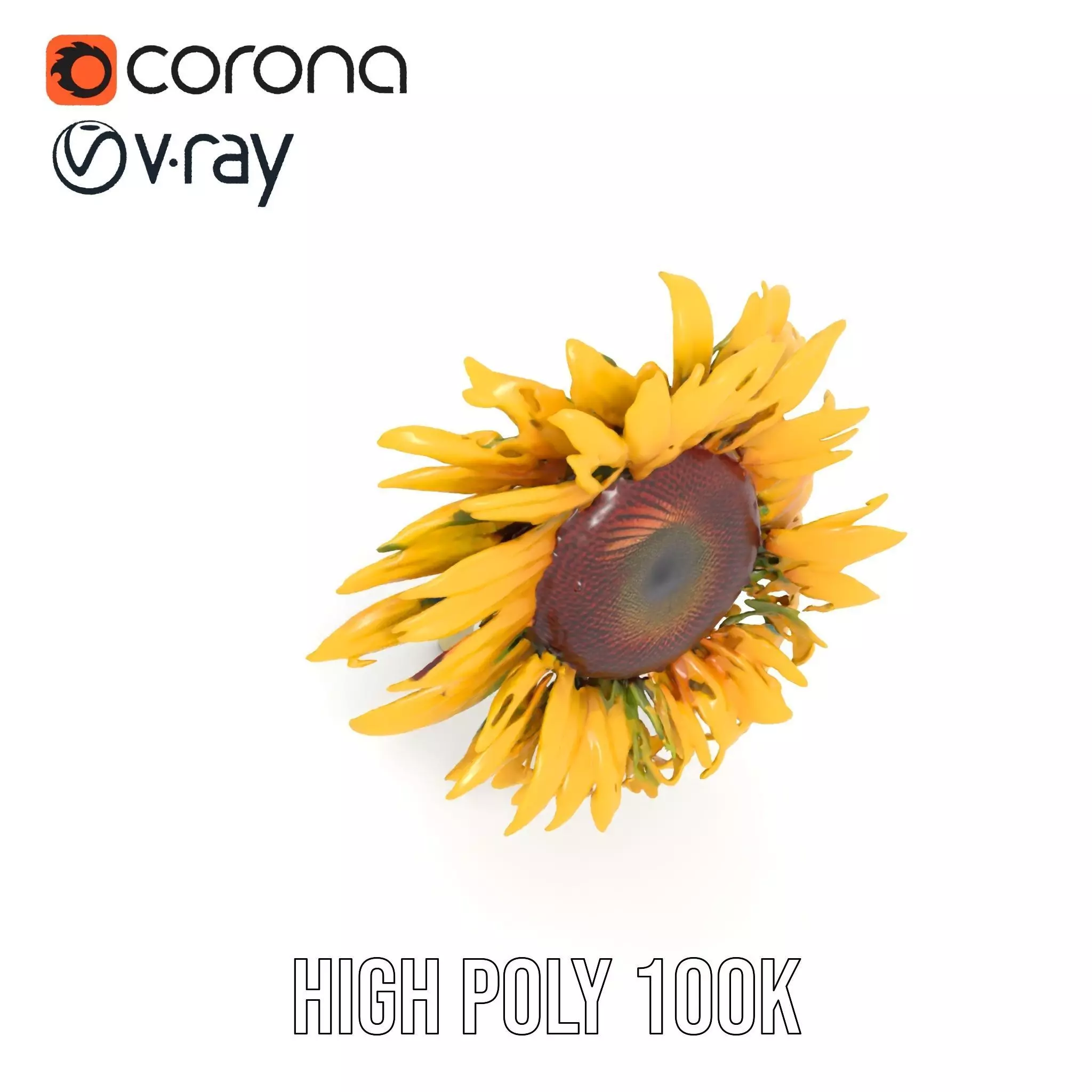 Sunflower Yellow Bloom model pack Low-poly 3D model_19