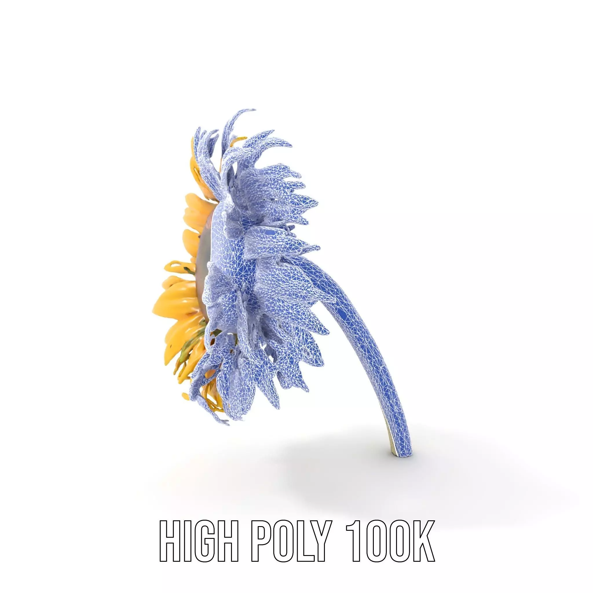 Sunflower Yellow Bloom model pack Low-poly 3D model_17