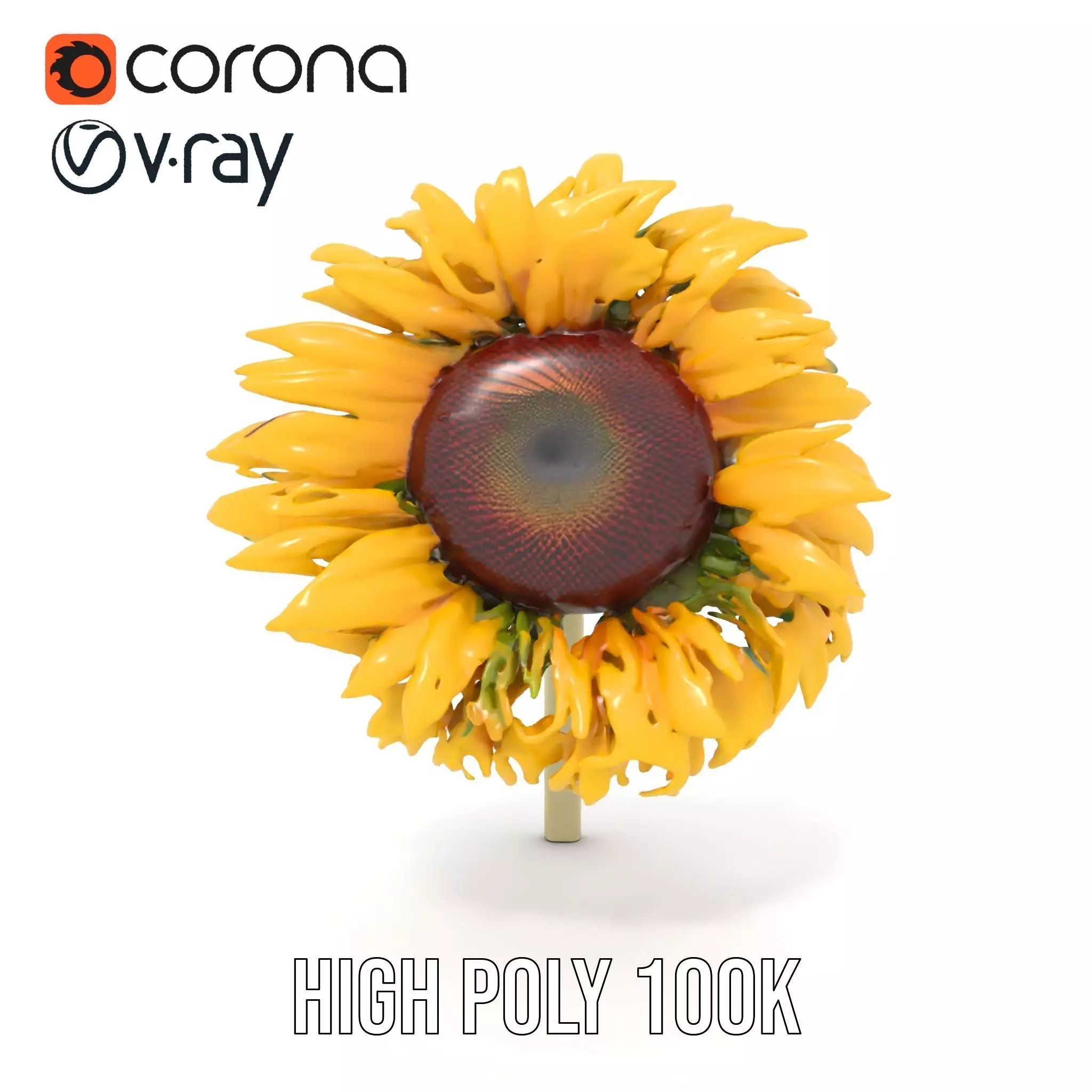 Sunflower Yellow Bloom model pack Low-poly 3D model_24