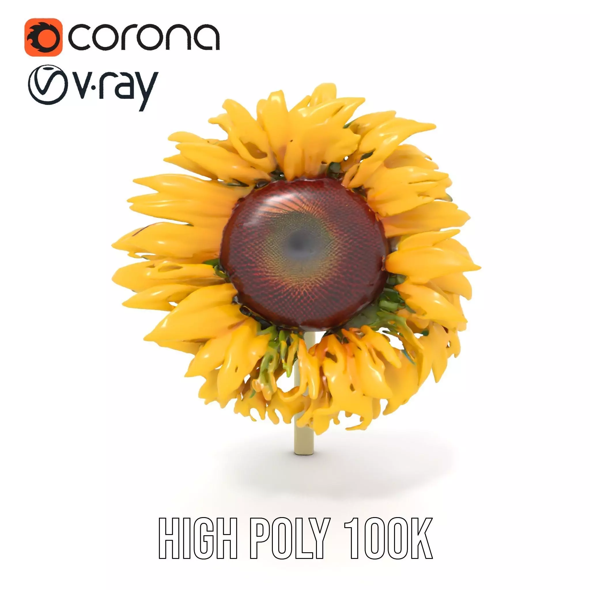 Sunflower Yellow Bloom model pack Low-poly 3D model_9