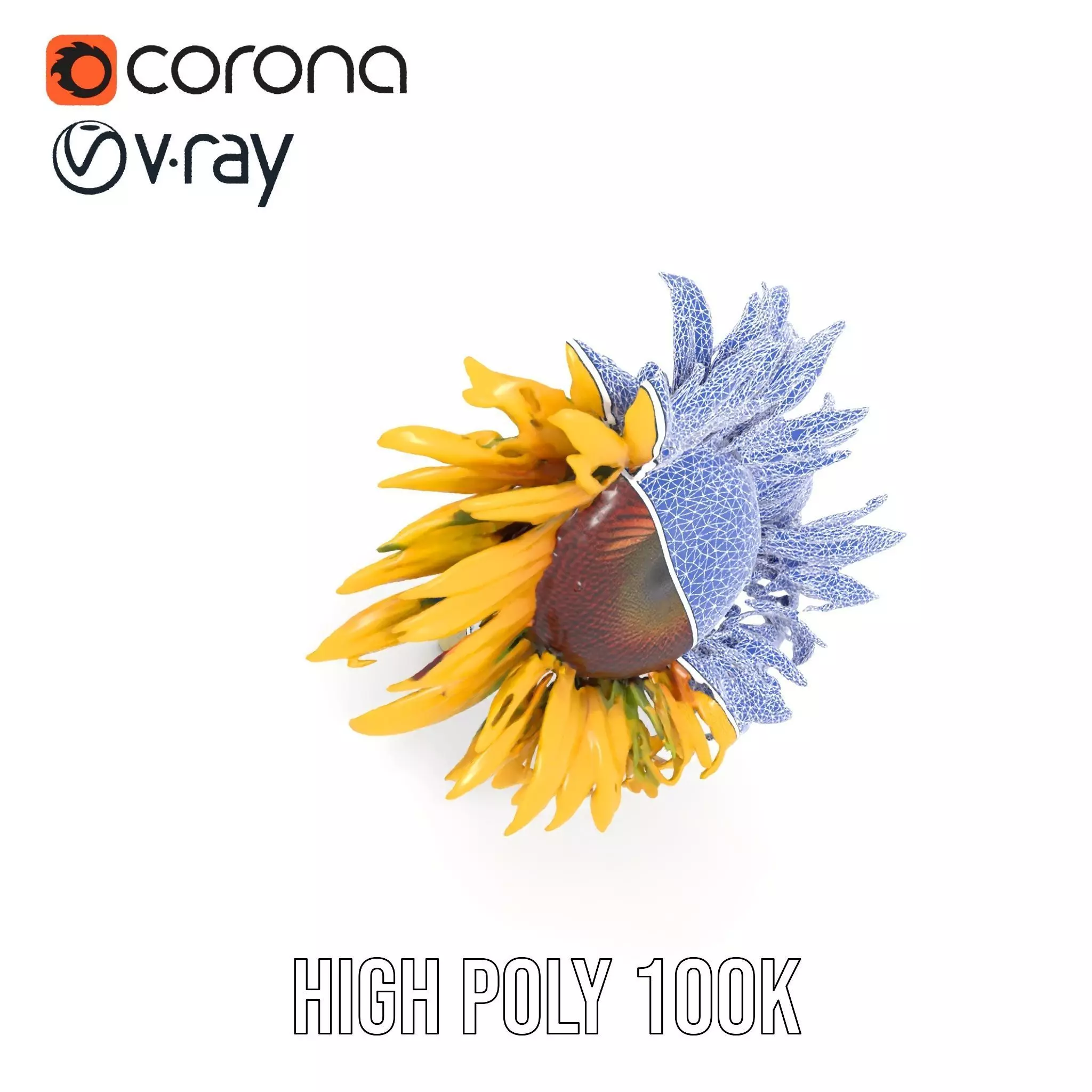 Sunflower Yellow Bloom model pack Low-poly 3D model_22