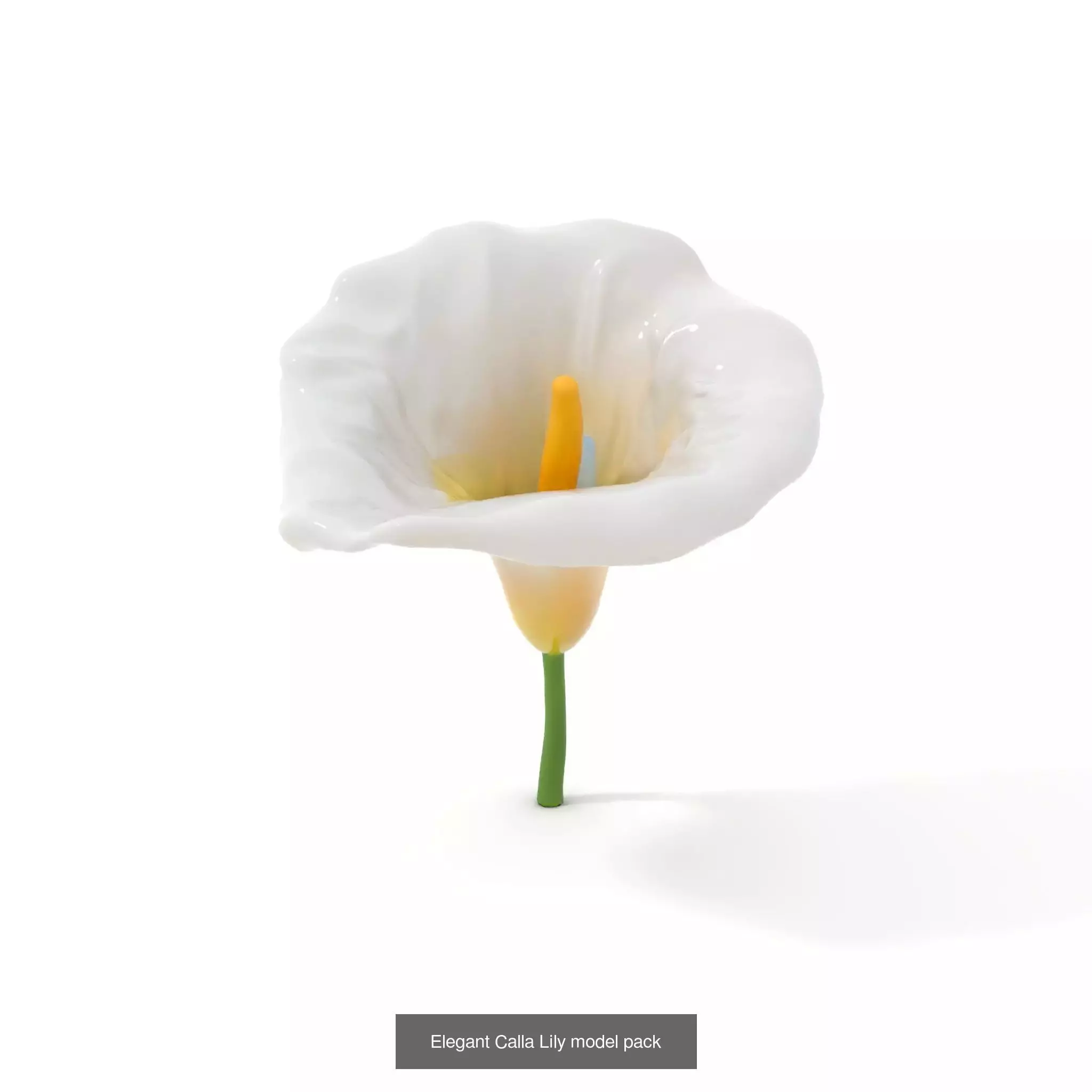 Exquisite Floral SideViews 3D Model Collection_52