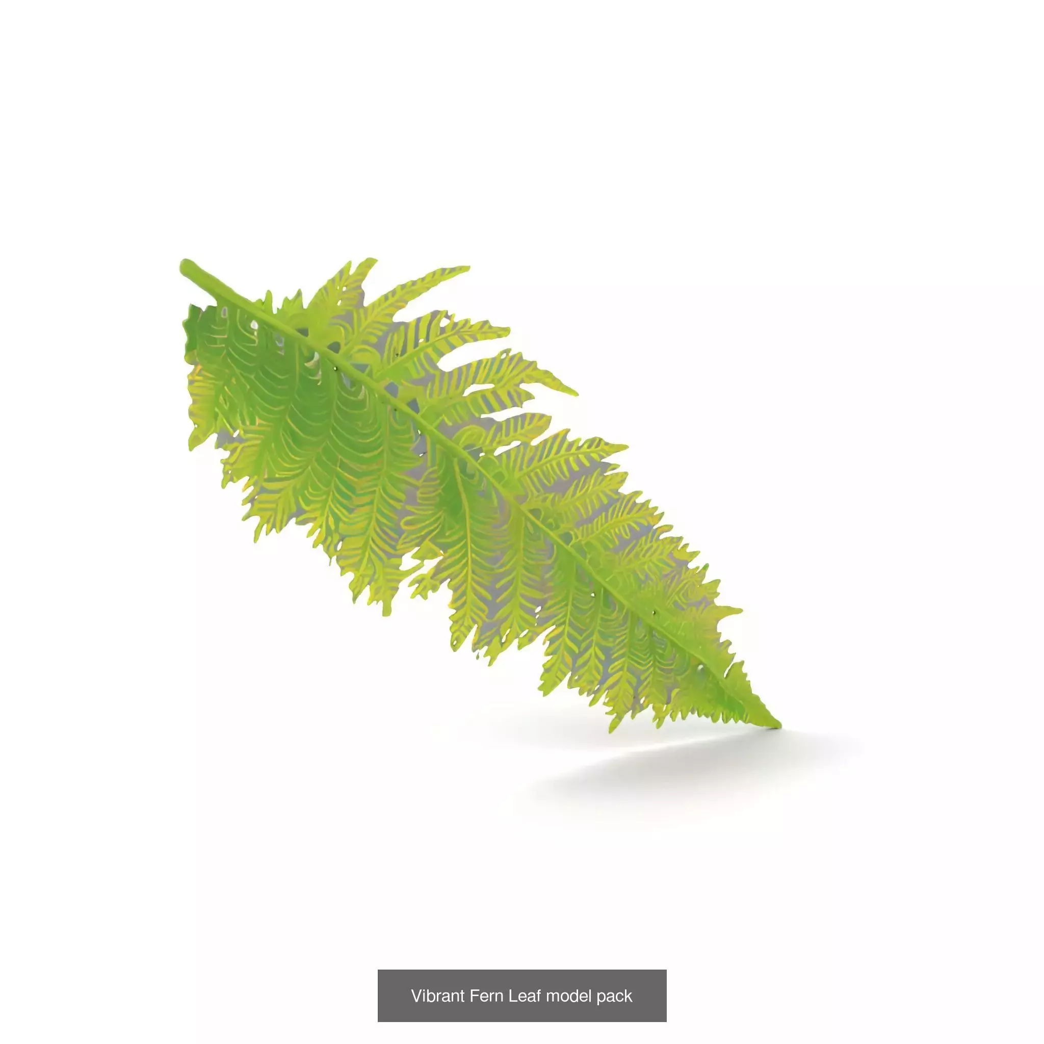 Exquisite Floral SideViews 3D Model Collection_66