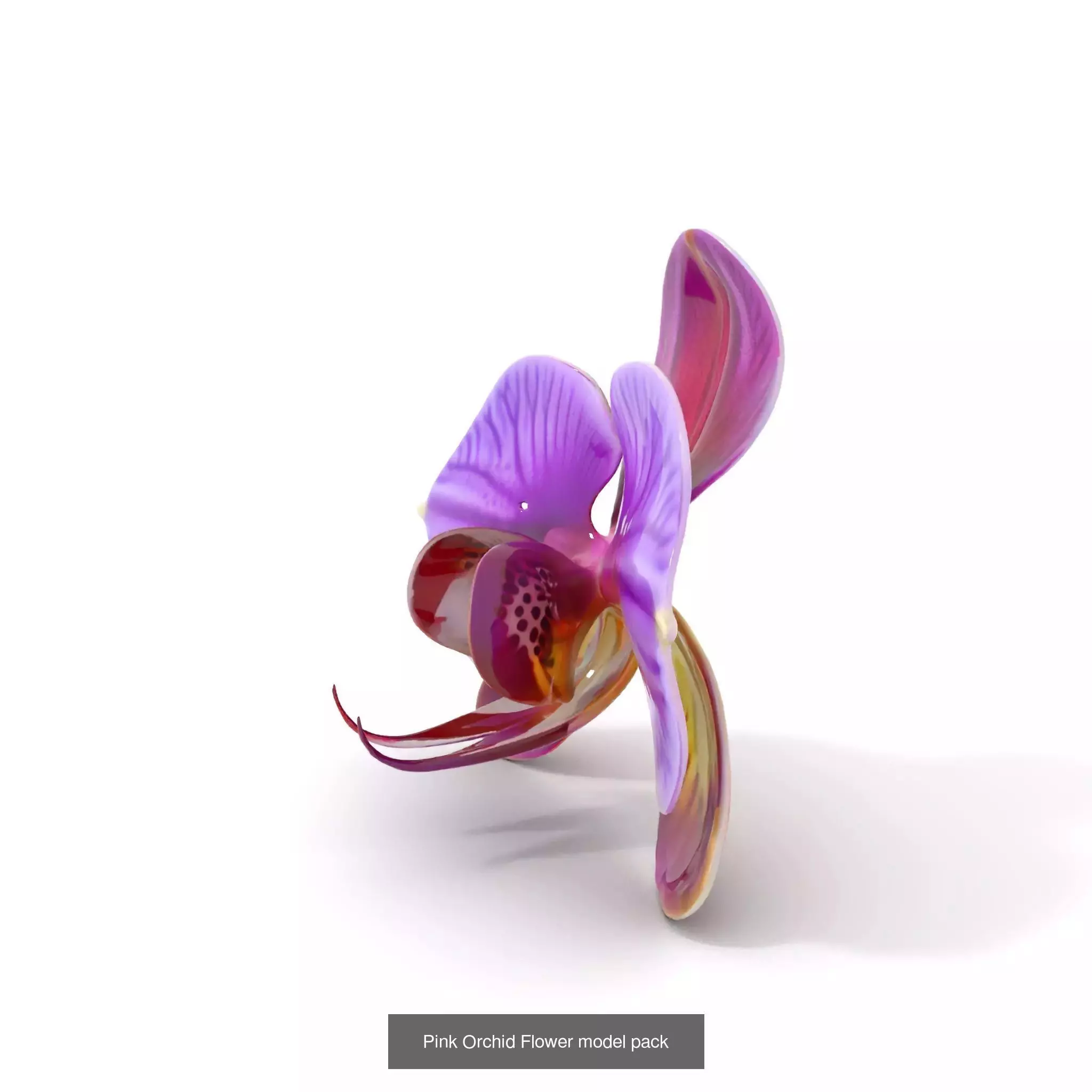 Exquisite Floral SideViews 3D Model Collection_50