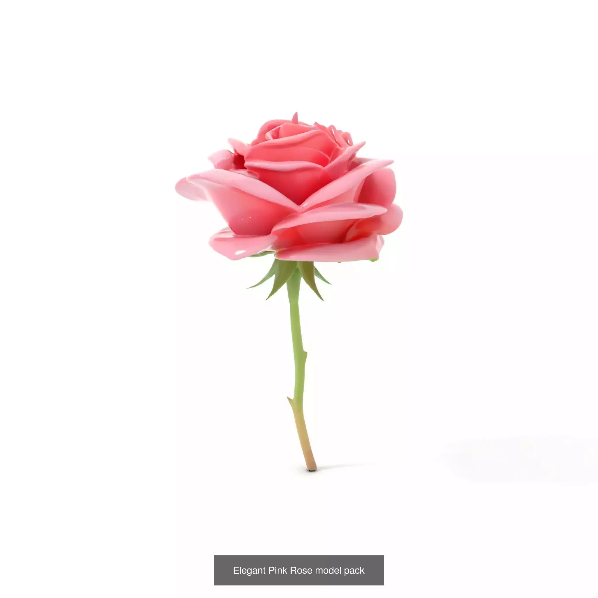 Exquisite Floral SideViews 3D Model Collection_60