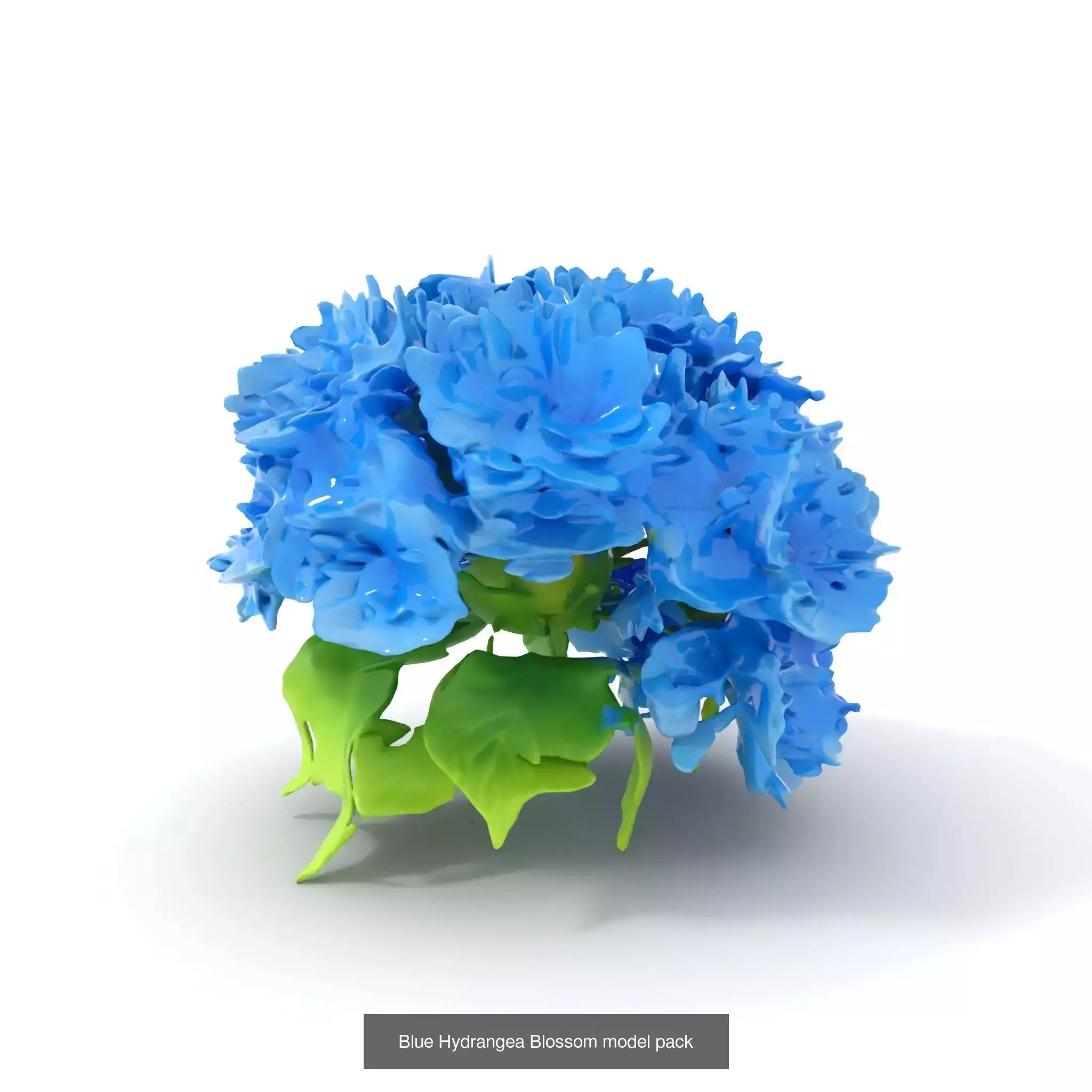 Exquisite Floral SideViews 3D Model Collection_65