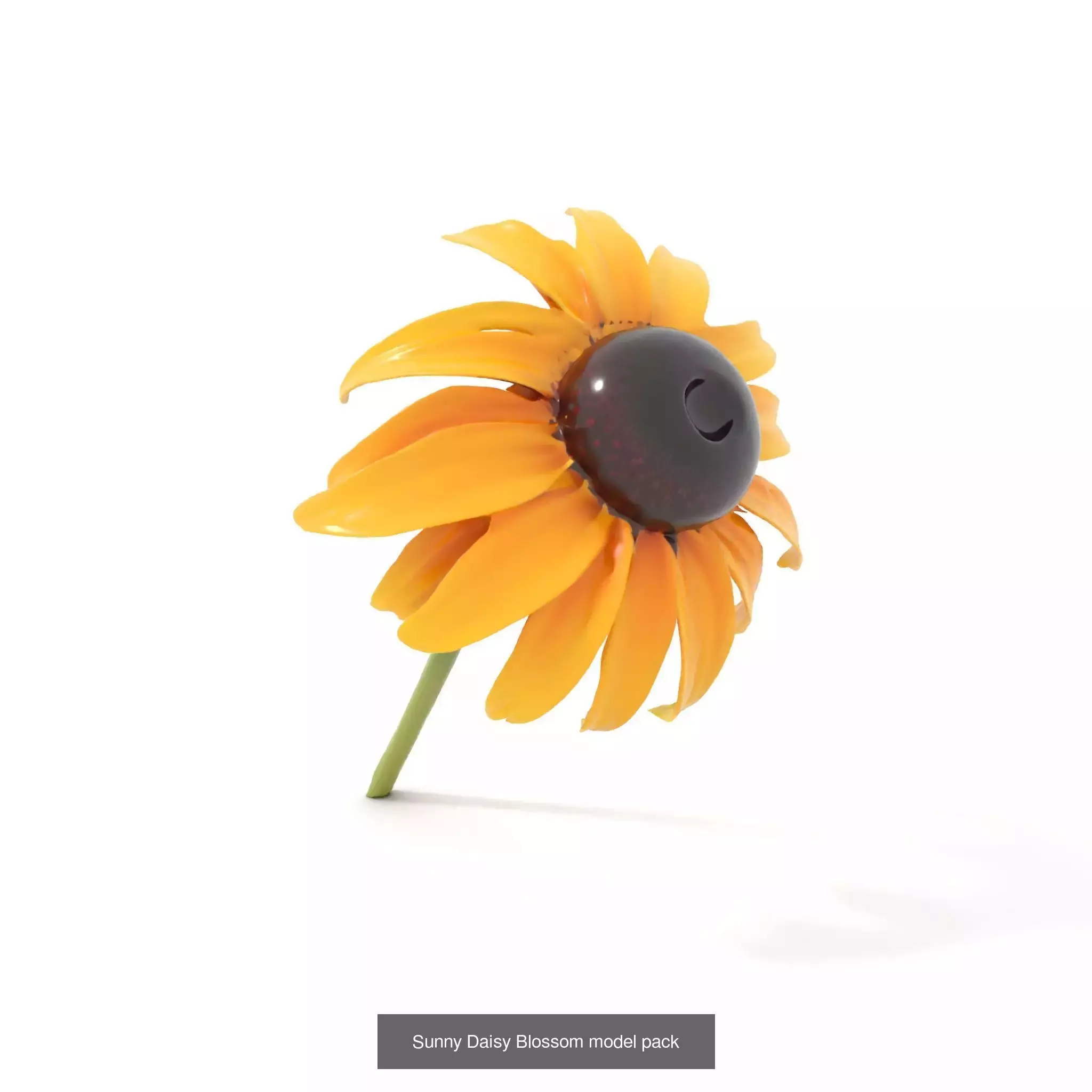 Exquisite Floral SideViews 3D Model Collection_68